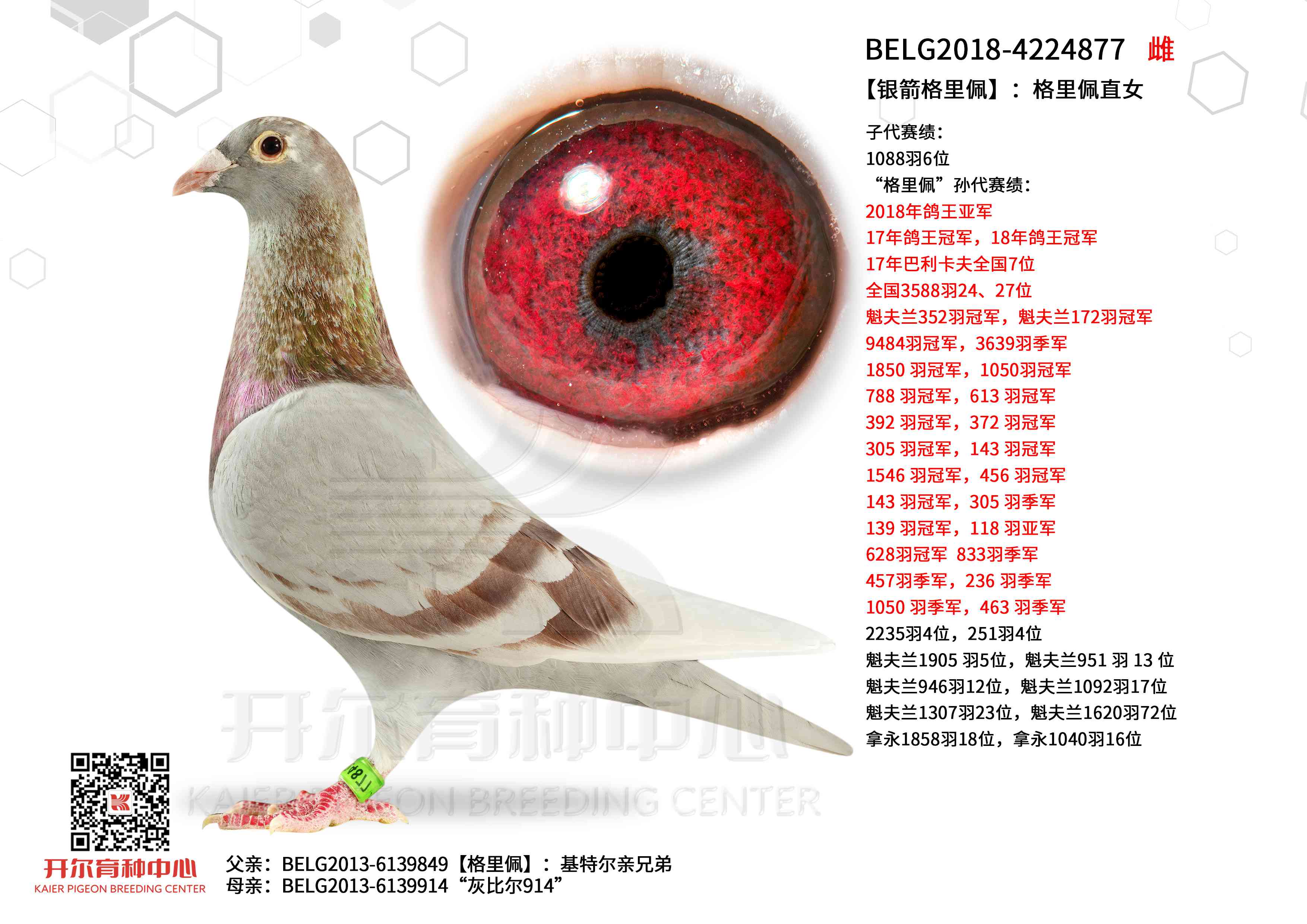 ���y�������塿��������ֱŮ