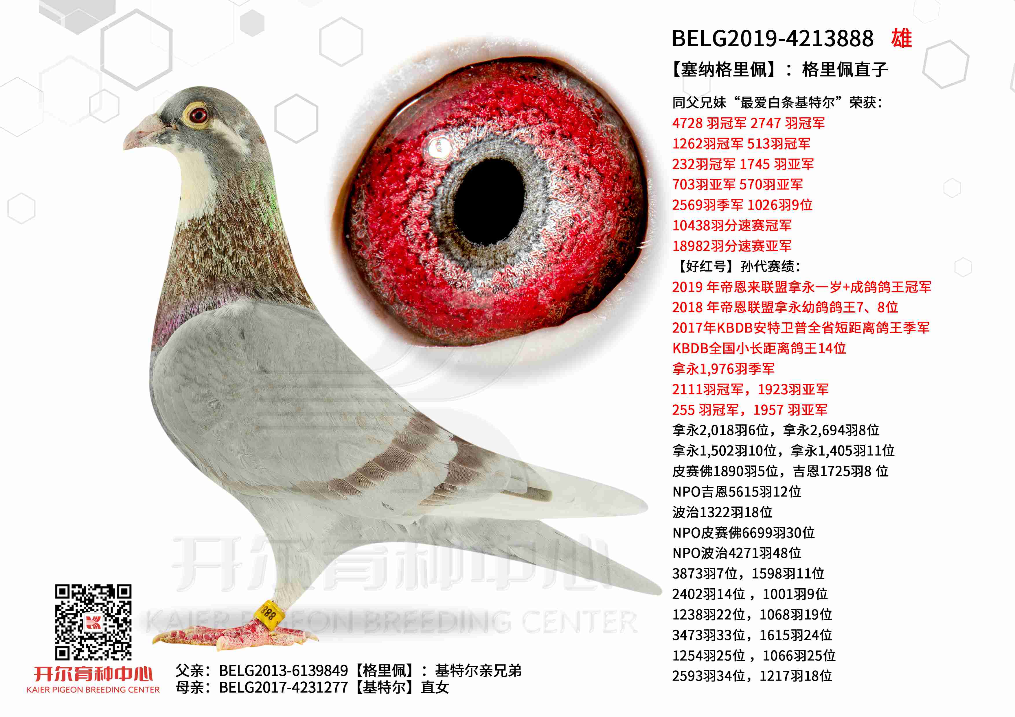 �����{�����塿��������ֱ��