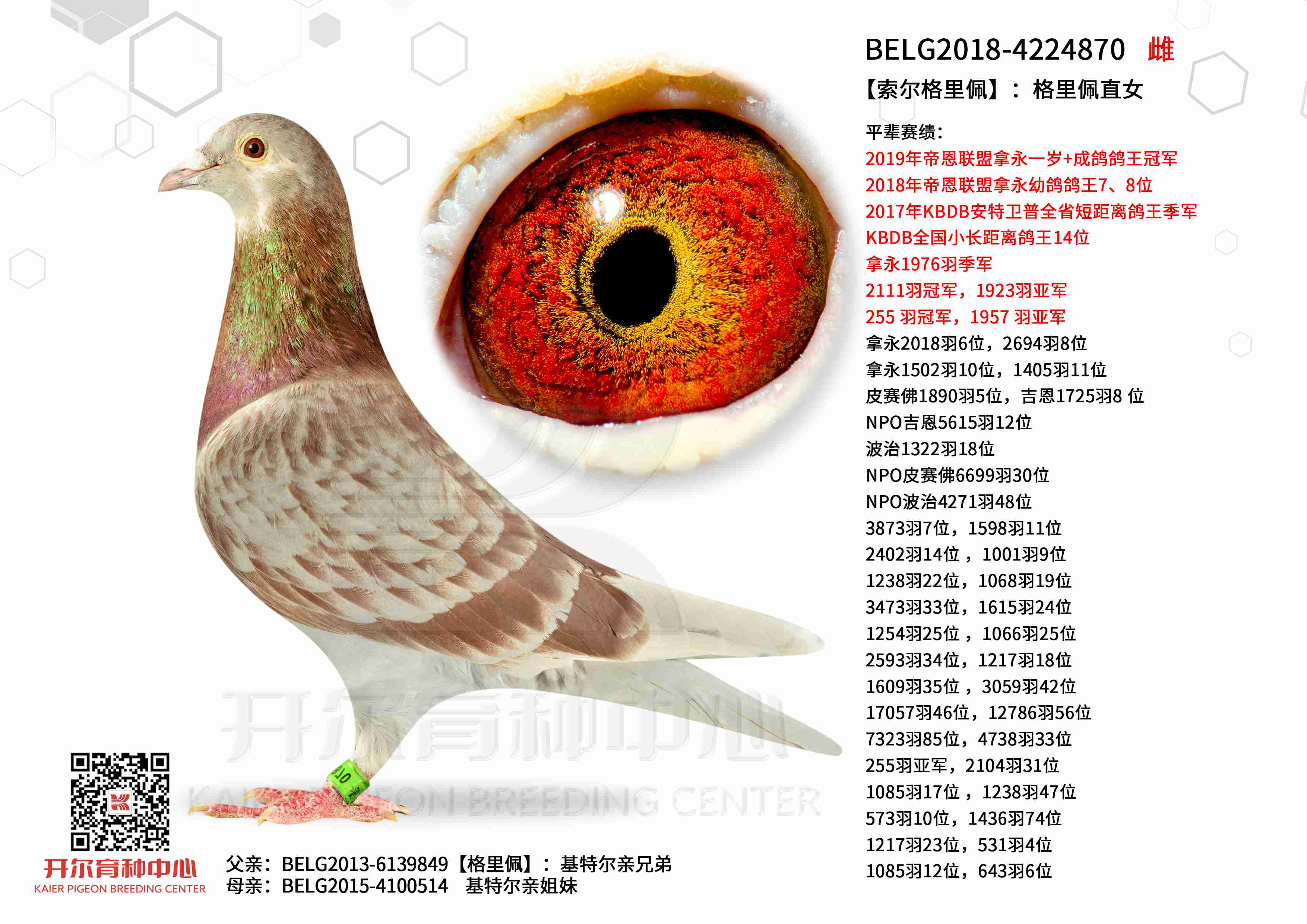 �����������塿��������ֱŮ