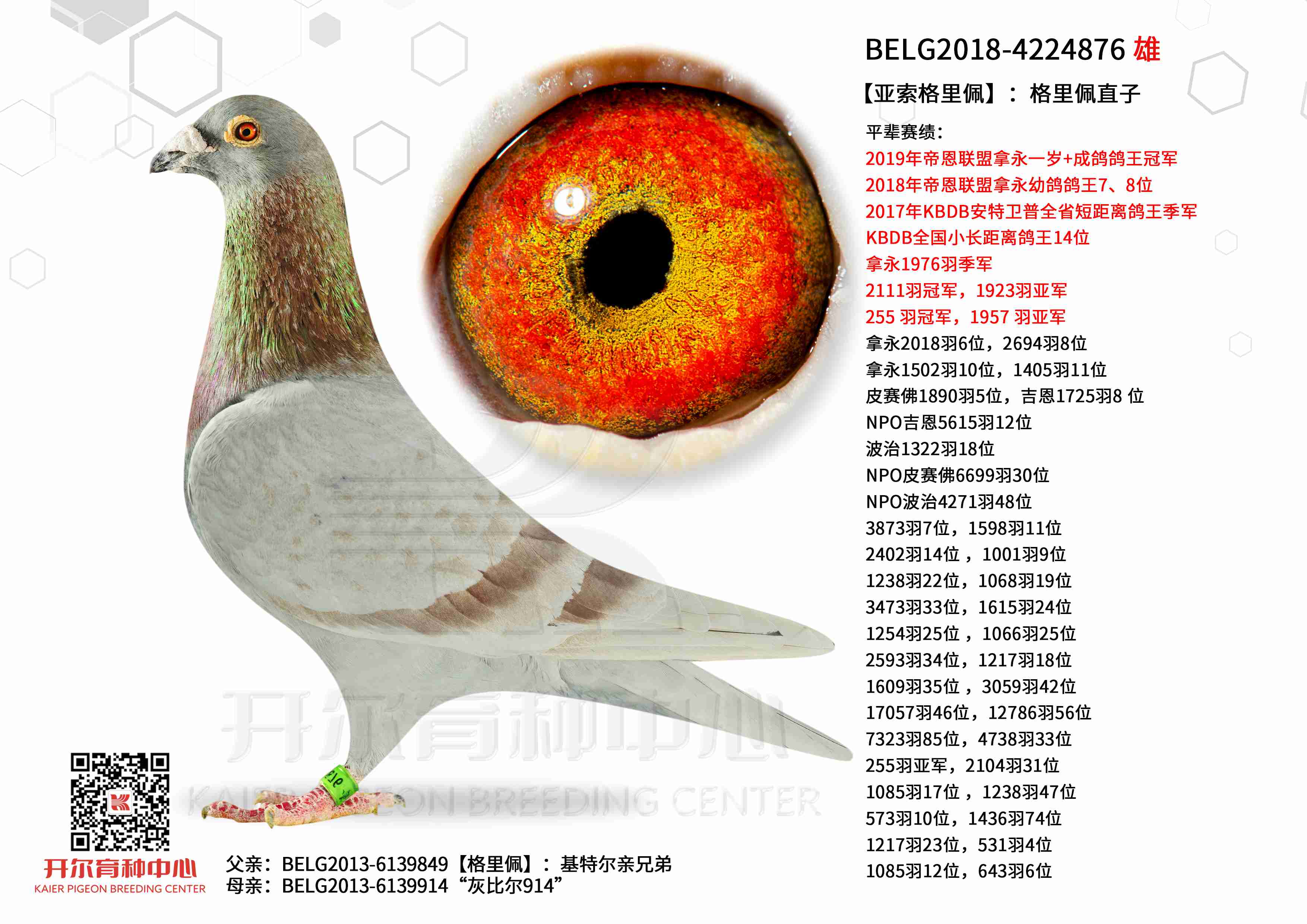 �����������塿��������ֱ��