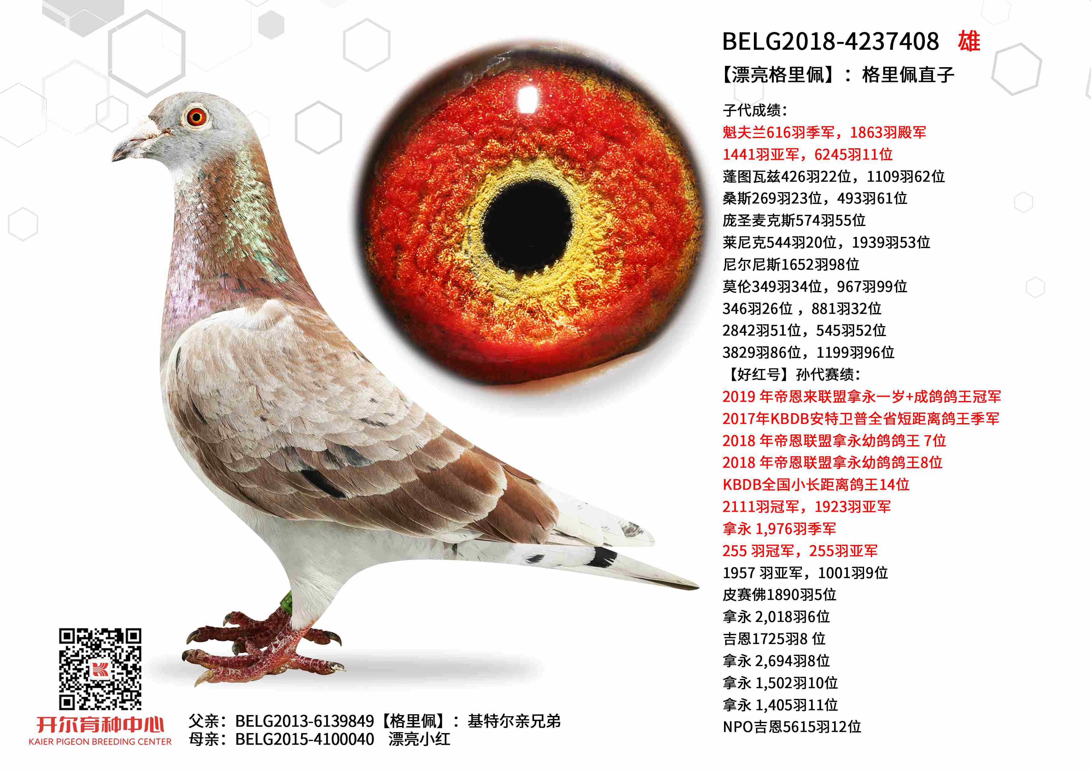 ��Ư�������塿��������ֱ��