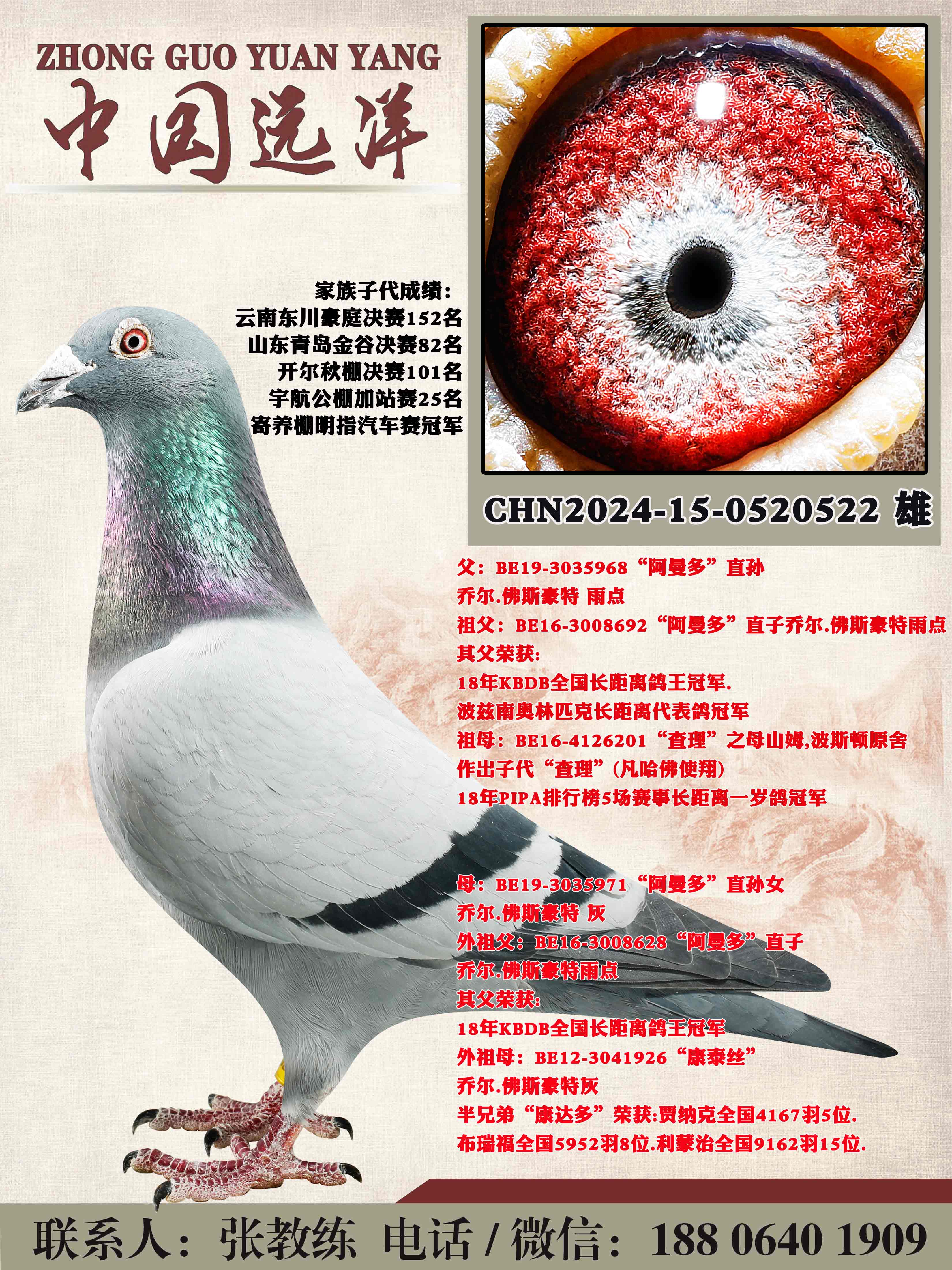 ������ֱ��x������ֱ��Ů