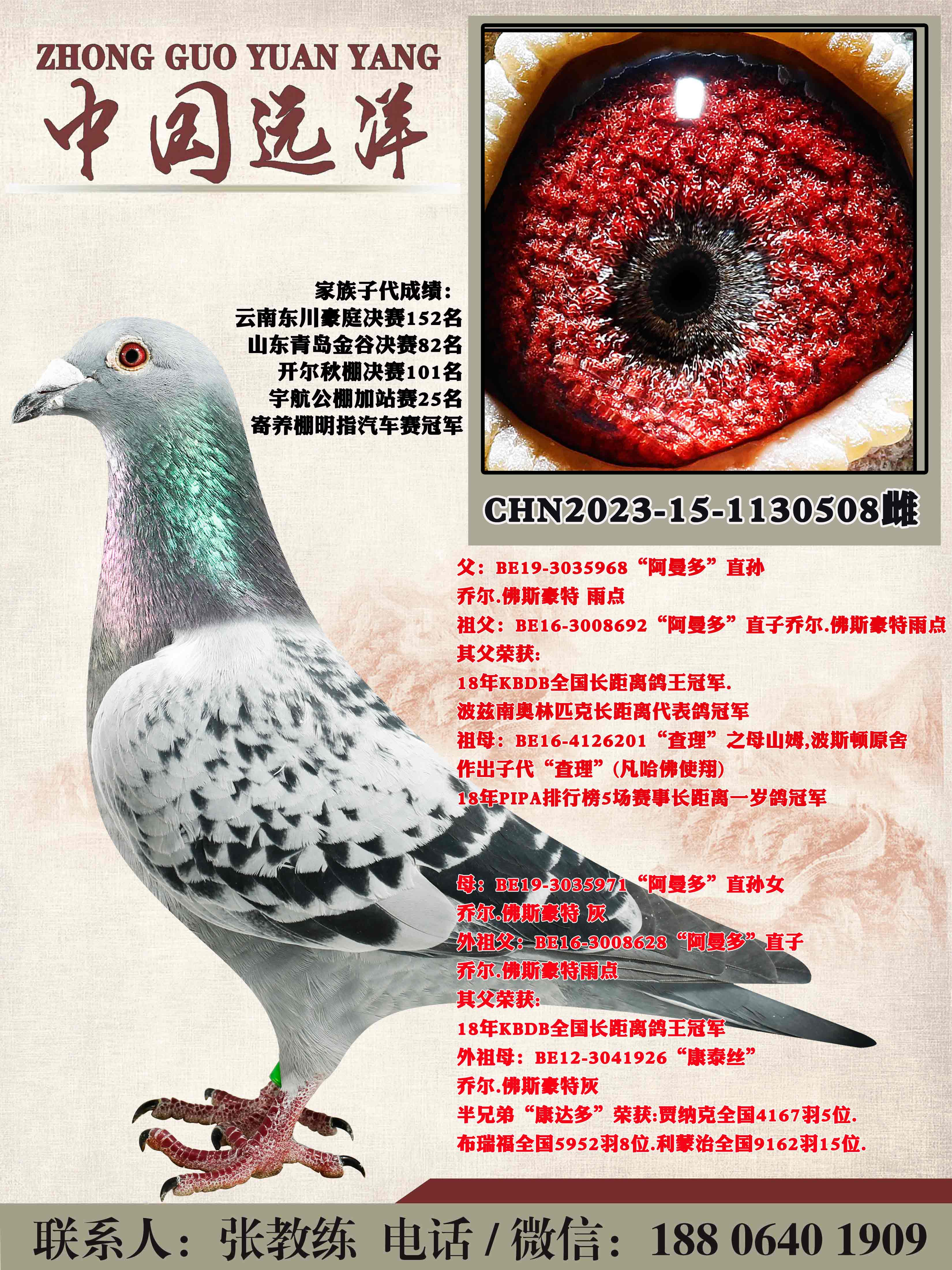 ������ֱ��x������ֱ��Ů