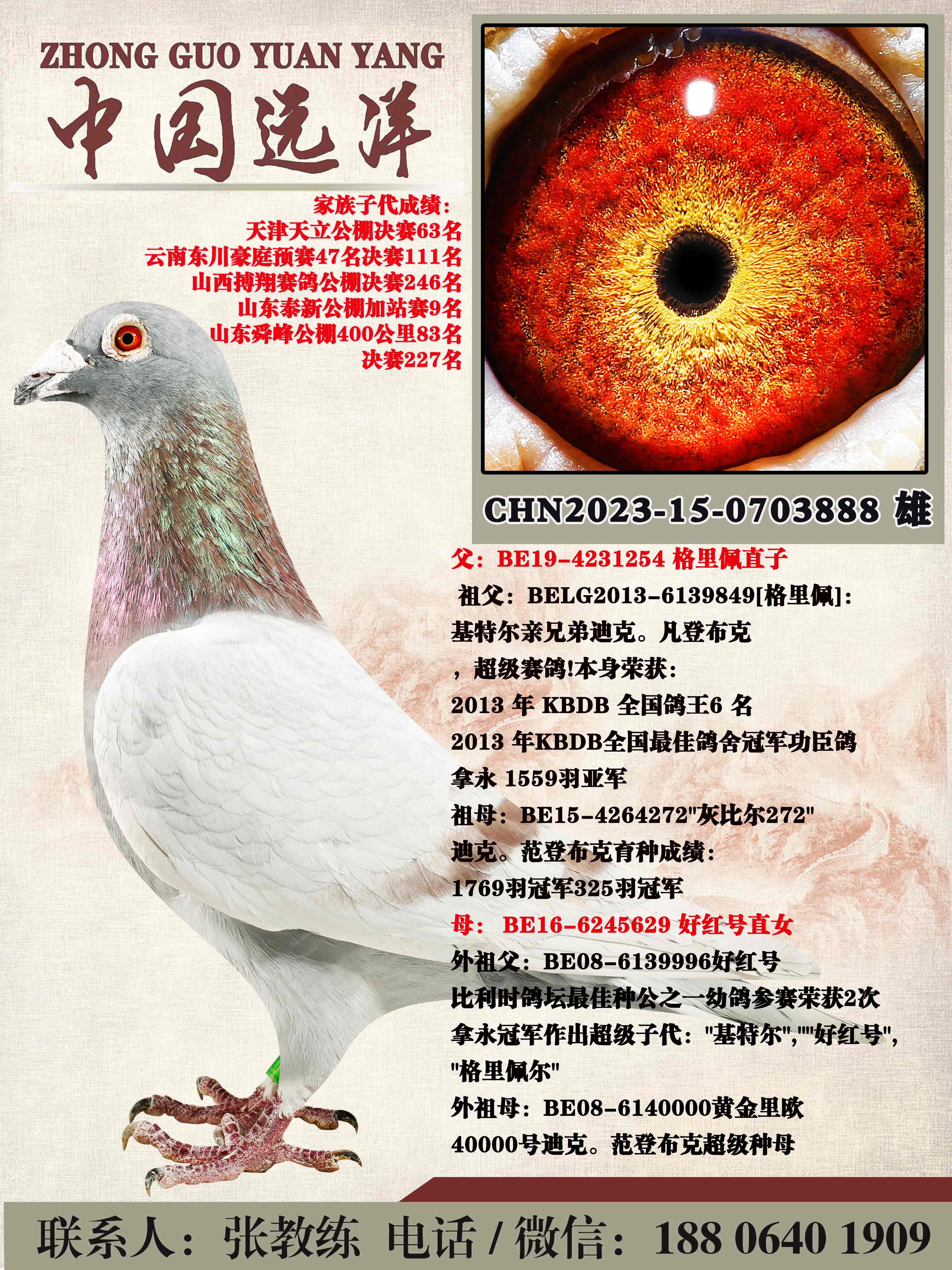 ������ֱ��x�ú��ֱŮ