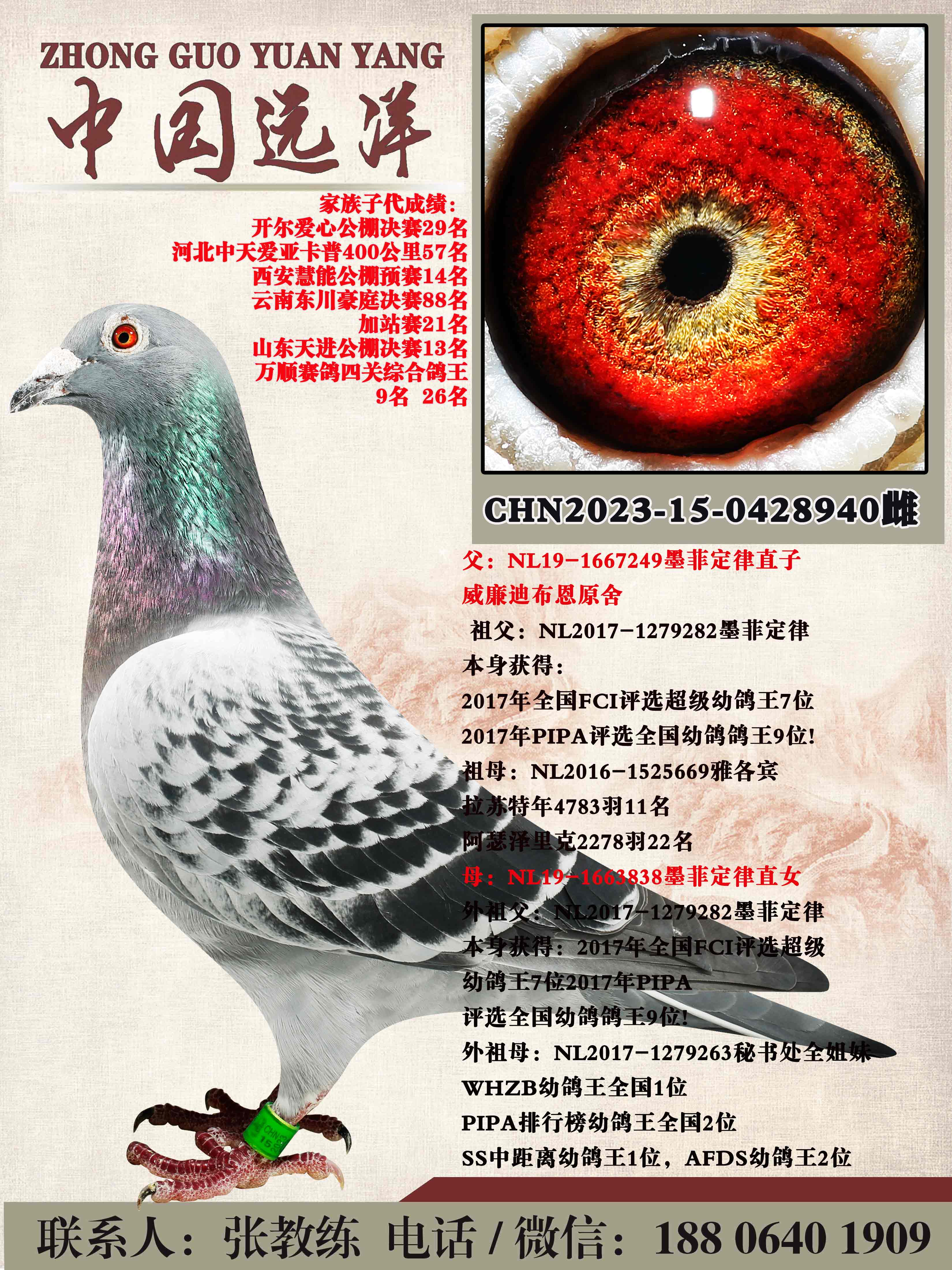 ī�ƶ���ֱ��xī�ƶ���ֱŮ