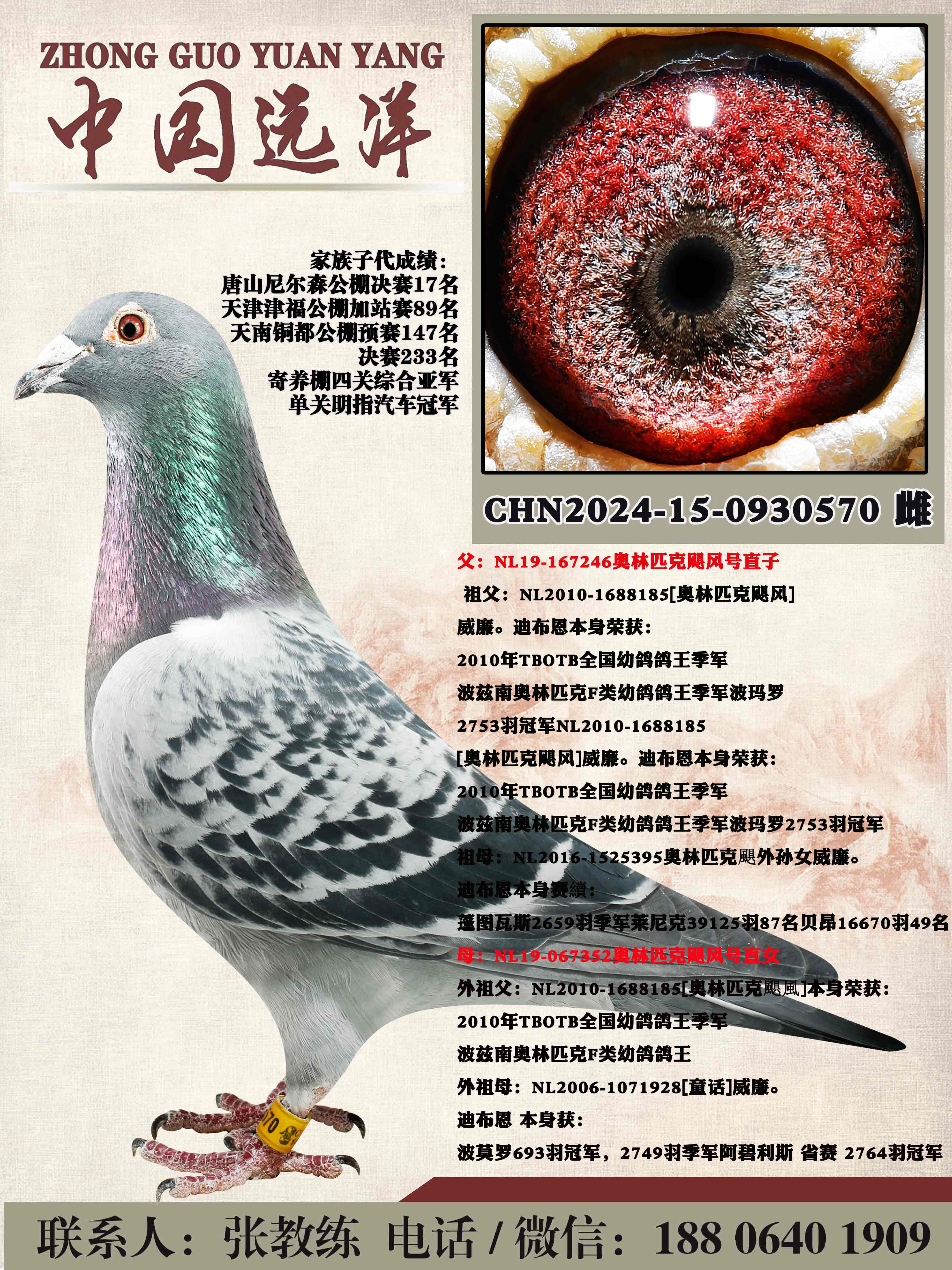 ����ƥ��쫷��ֱ��x����ƥ��쫷��ֱŮ