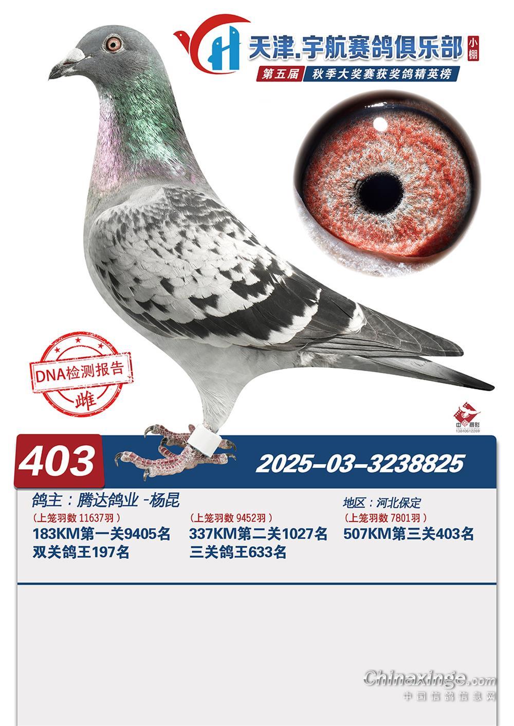 �����ݹ����Ĺظ����ھ���ֱŮ825