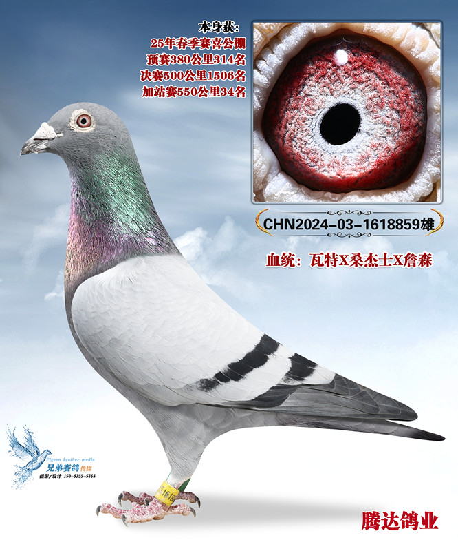 �����ݹ����Ĺظ����ھ�������859