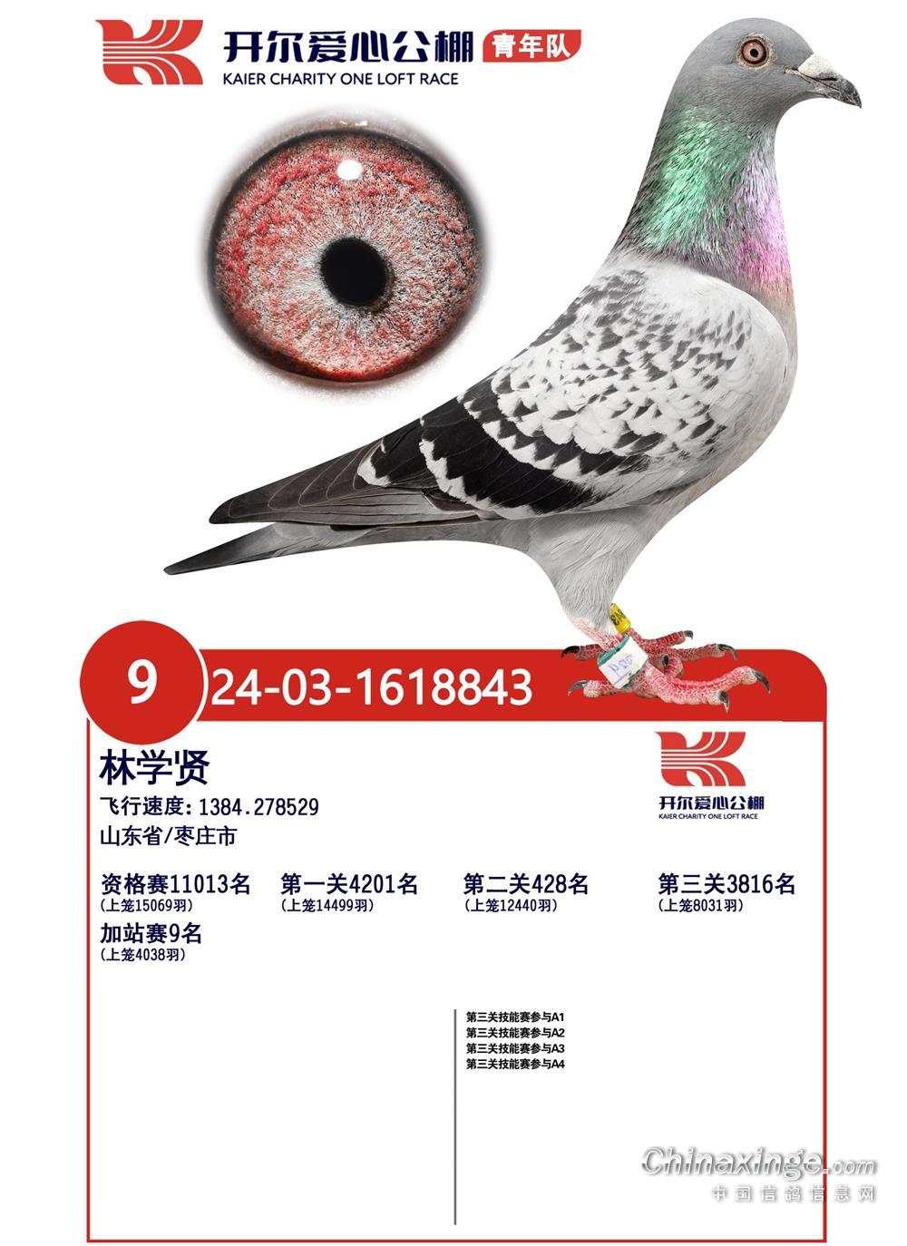 ��������Ӽ�վ��7�������ĳ���