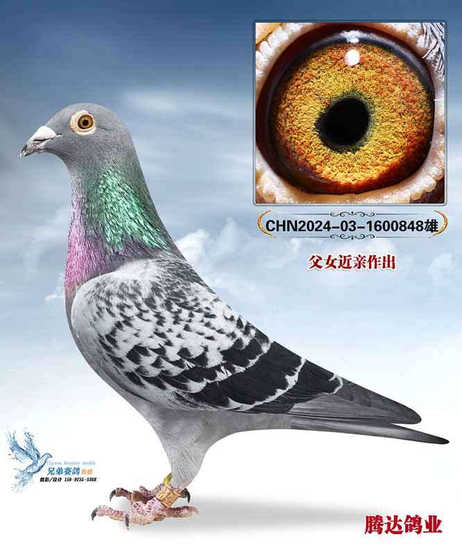 �������Ĺظ���������ֱ��848