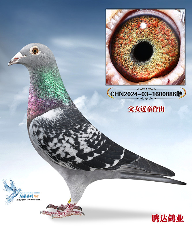 �������Ĺظ���������ֱŮ886