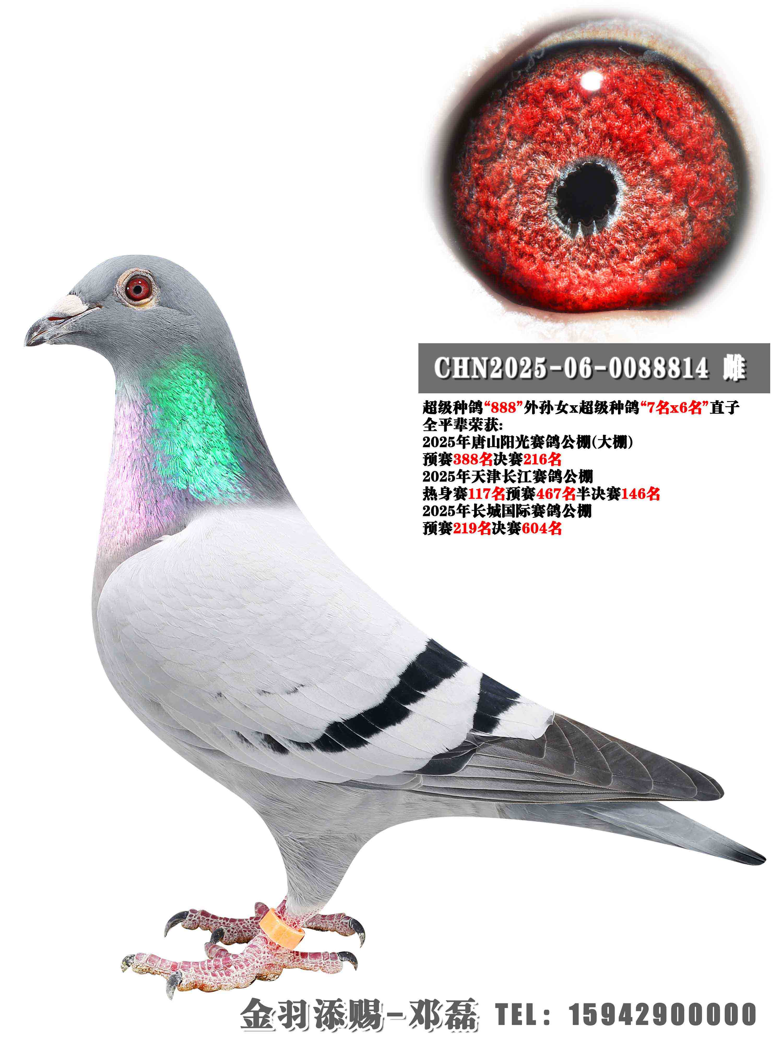 2025�����⹫�����216��ȫƽ��