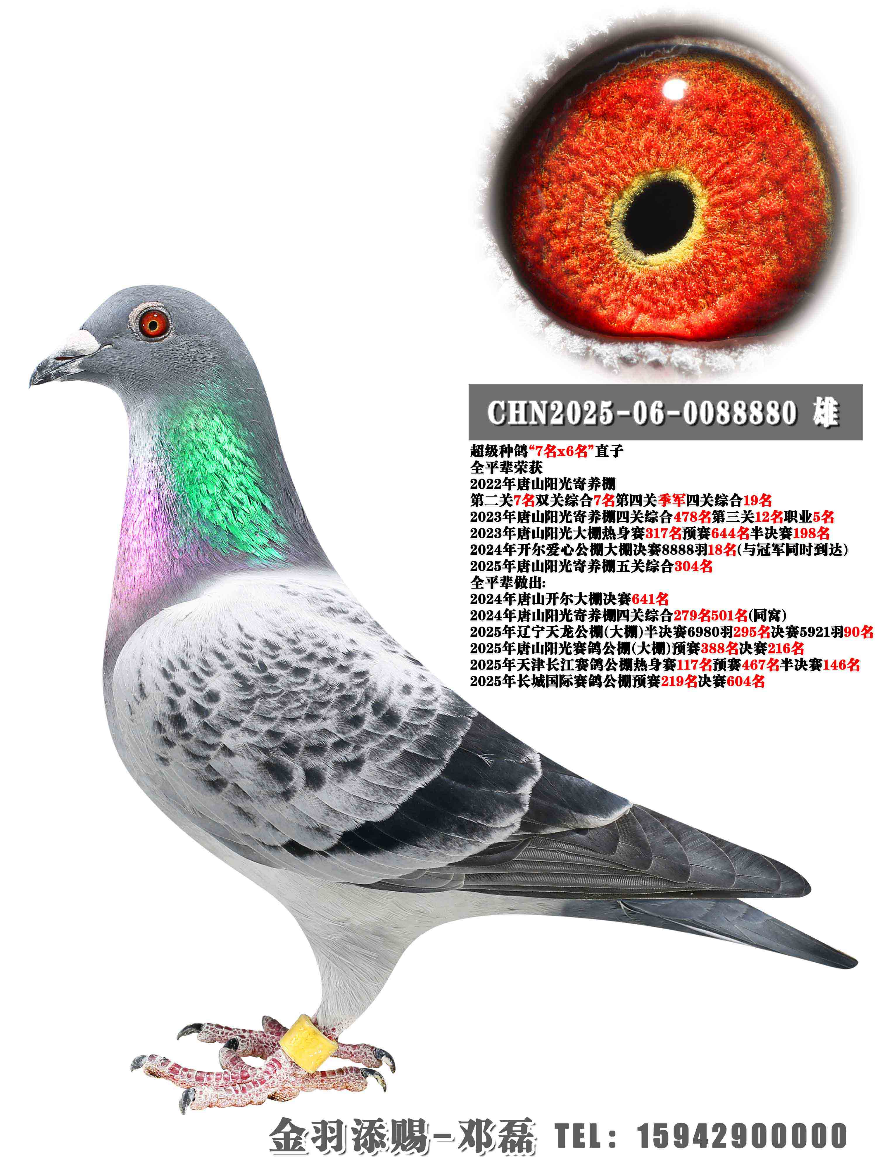 2024�꿪���������18��ȫƽ��