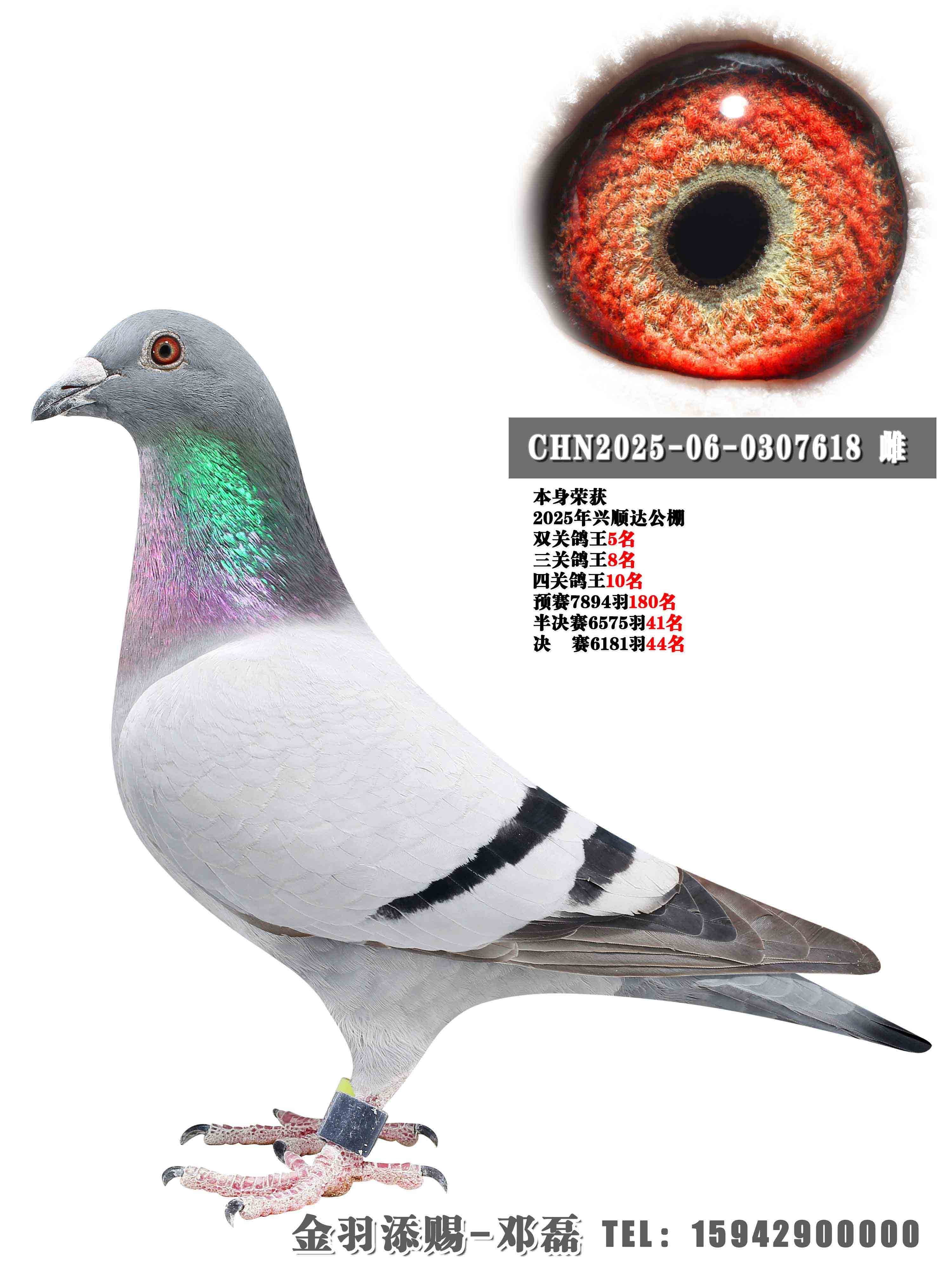 2025����˳�﹫���Ĺظ���10��