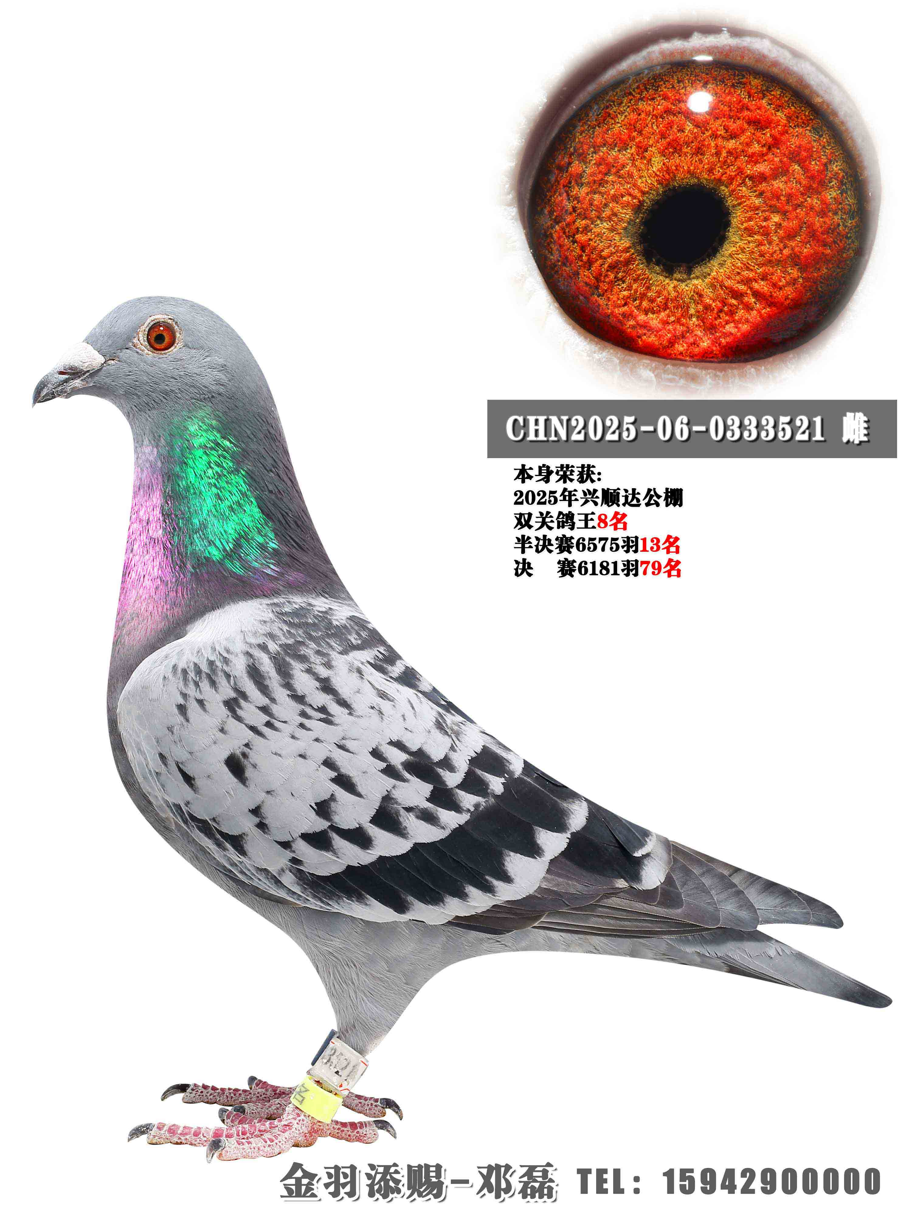 2025����˳�﹫��˫�ظ���8��