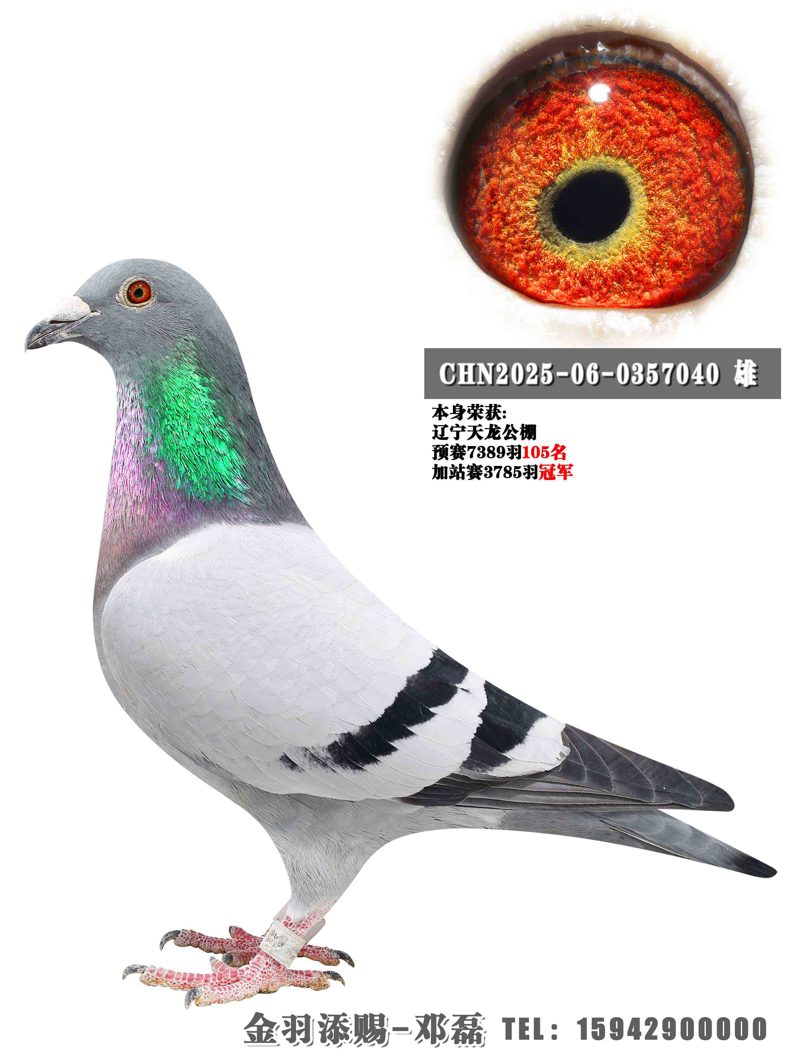 2025�����������վ���ھ�