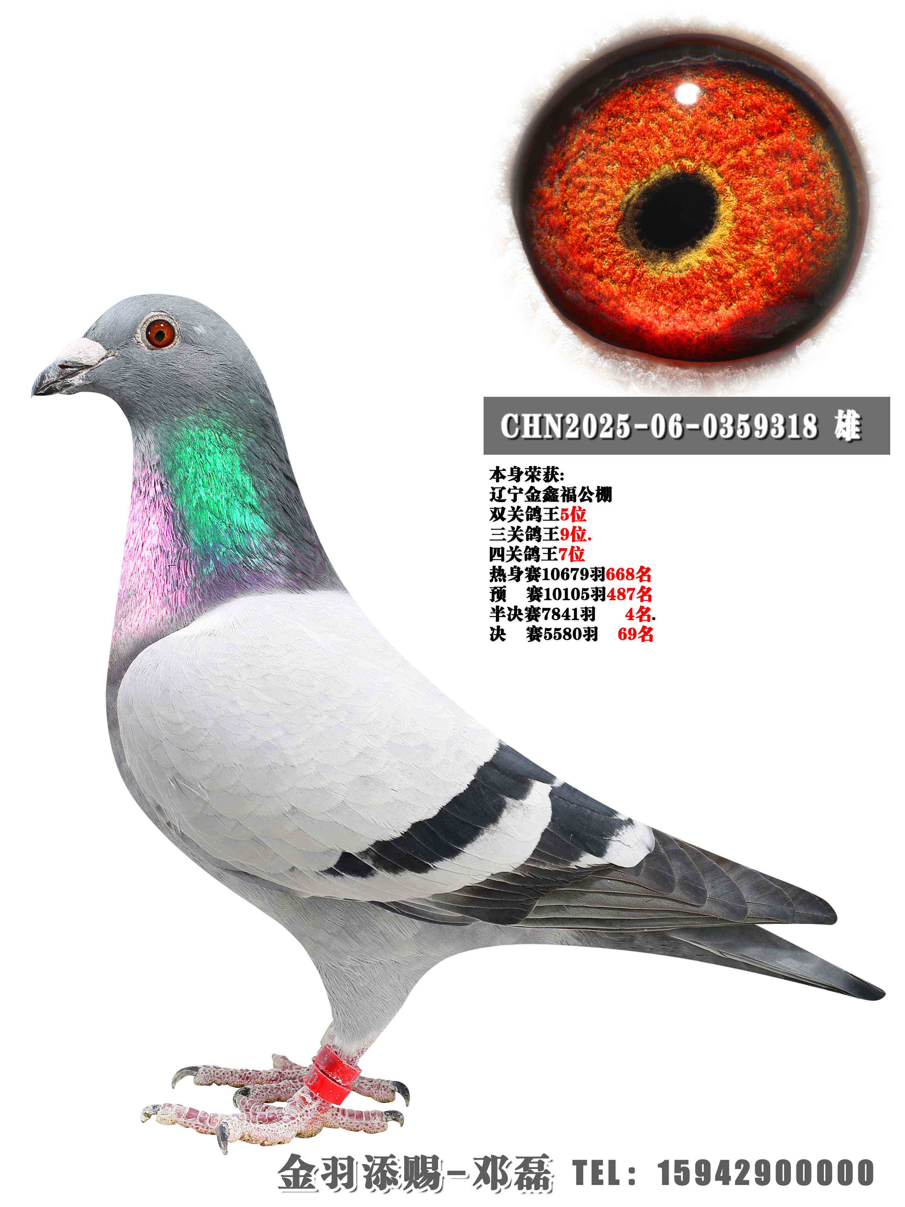 2025����θ������Ĺظ���7��