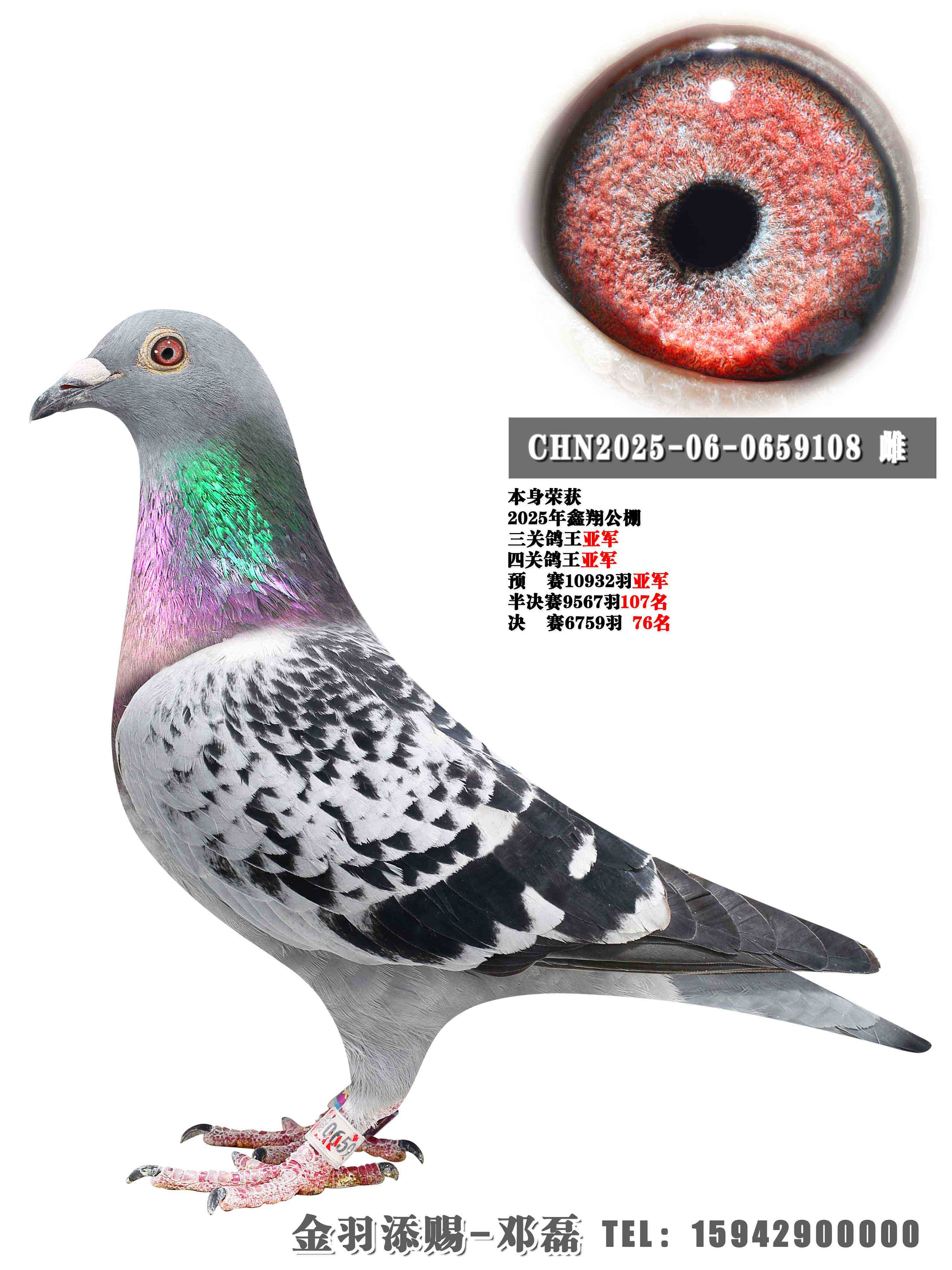 2025�����蹫���Ĺظ����Ǿ�