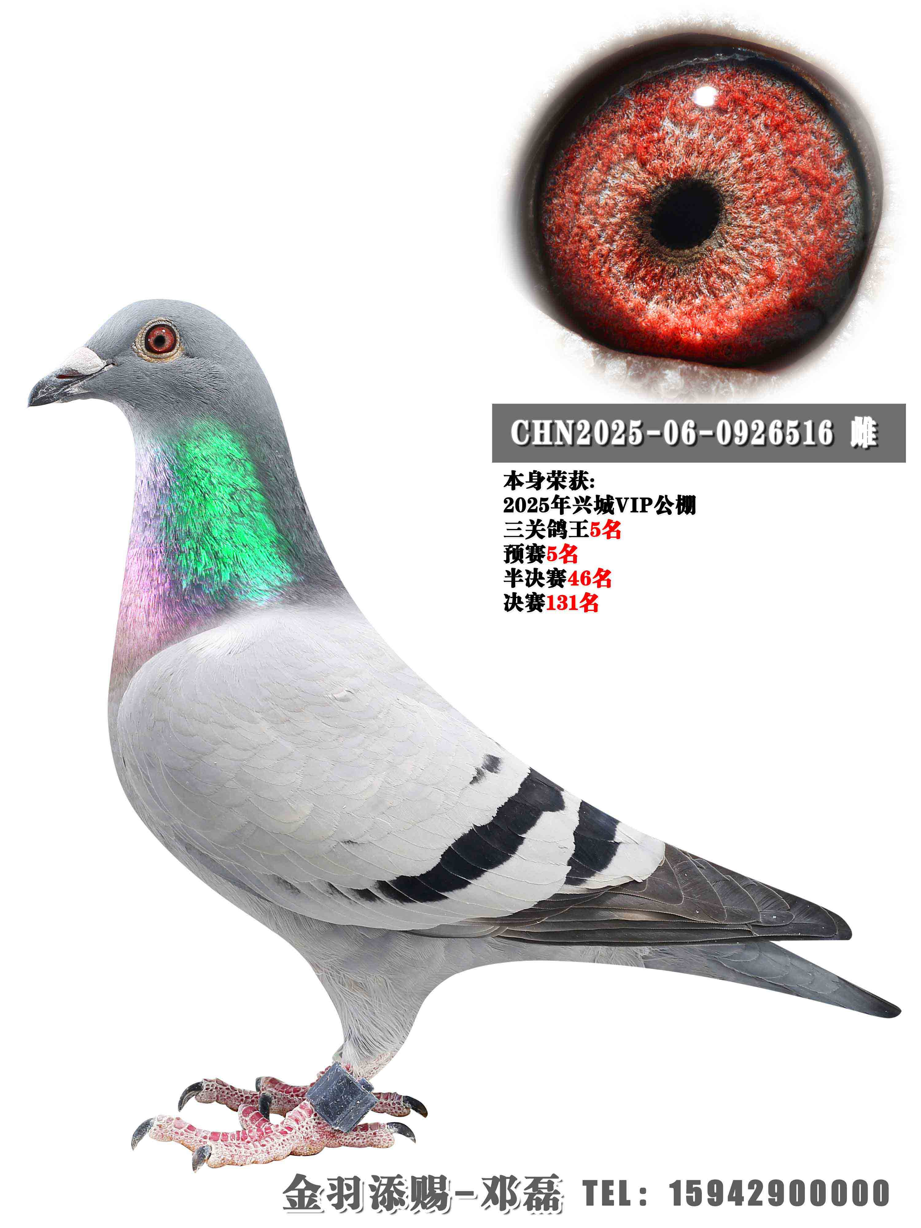 2025��VIP�������ظ���5��