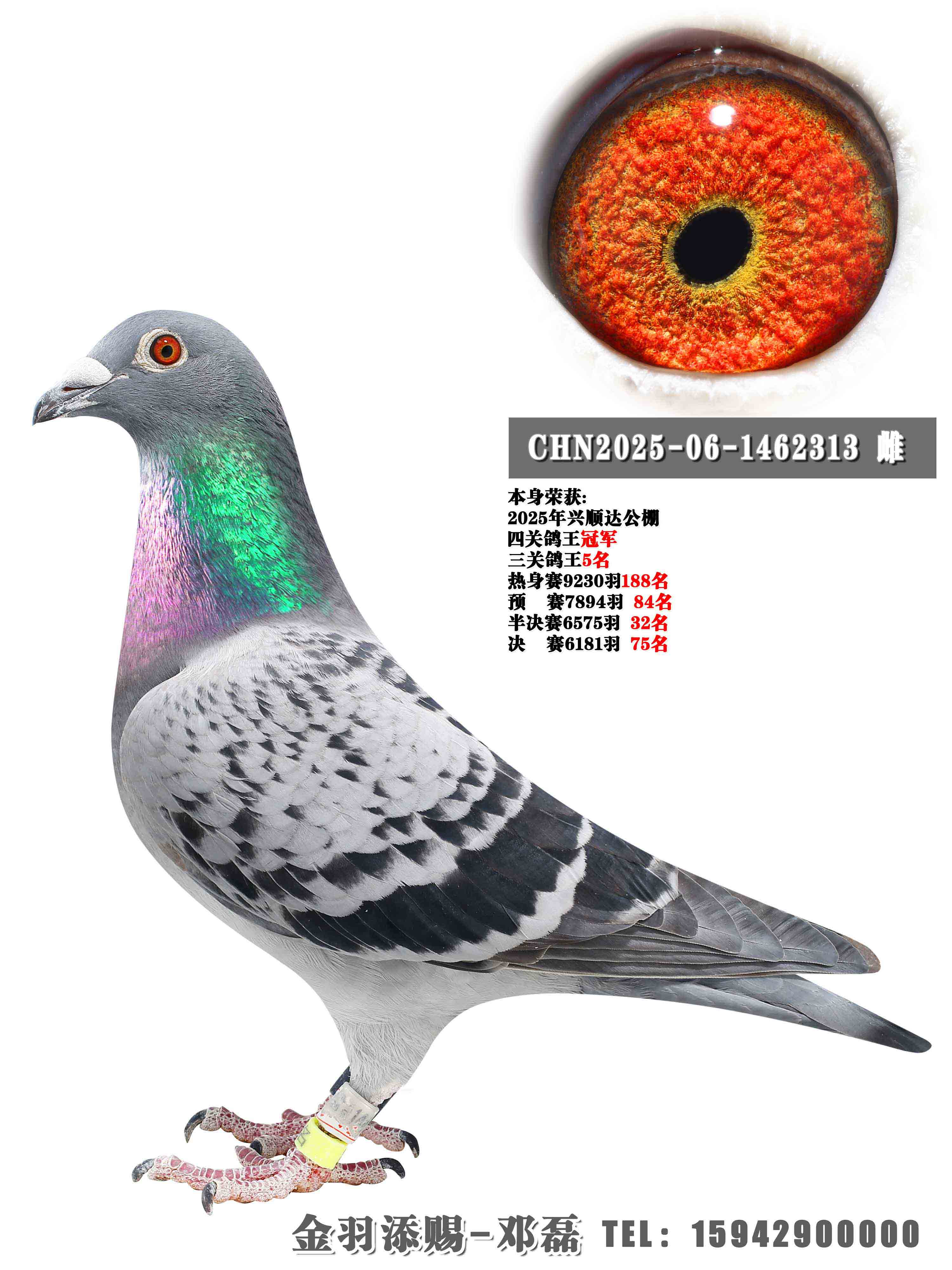 2025����˳�﹫���Ĺظ����ھ�