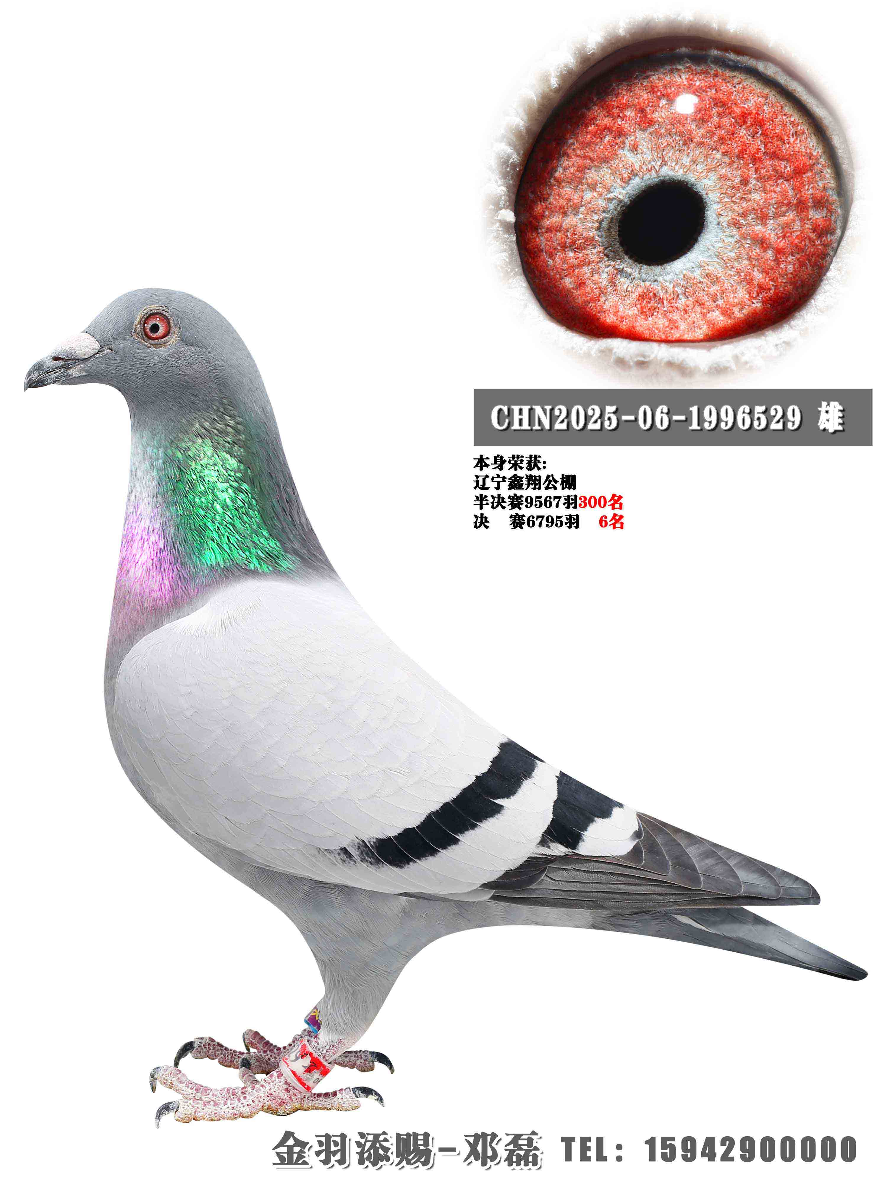 2025�����蹫�����6��