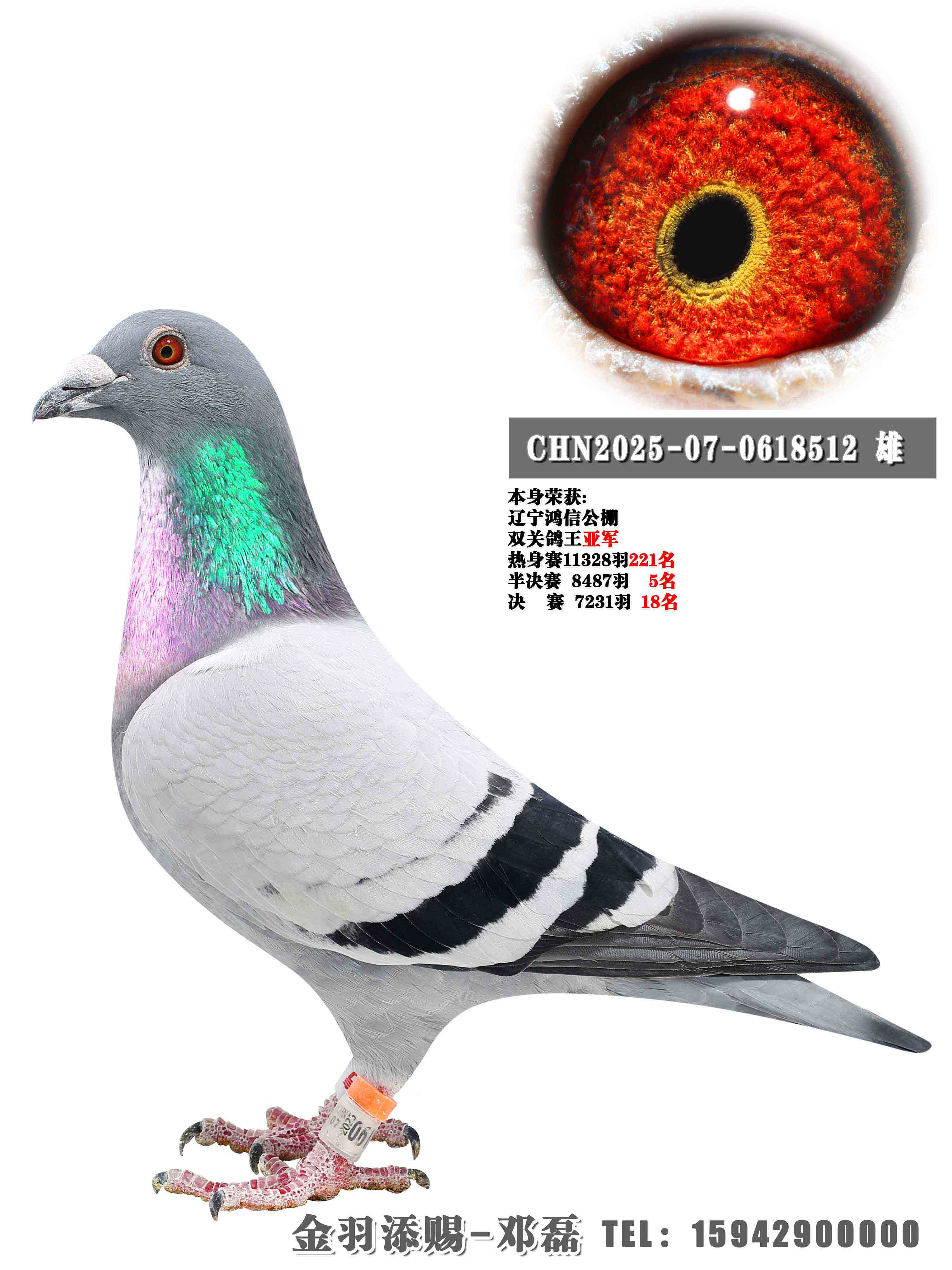 2025����Ź���˫�ظ����Ǿ�