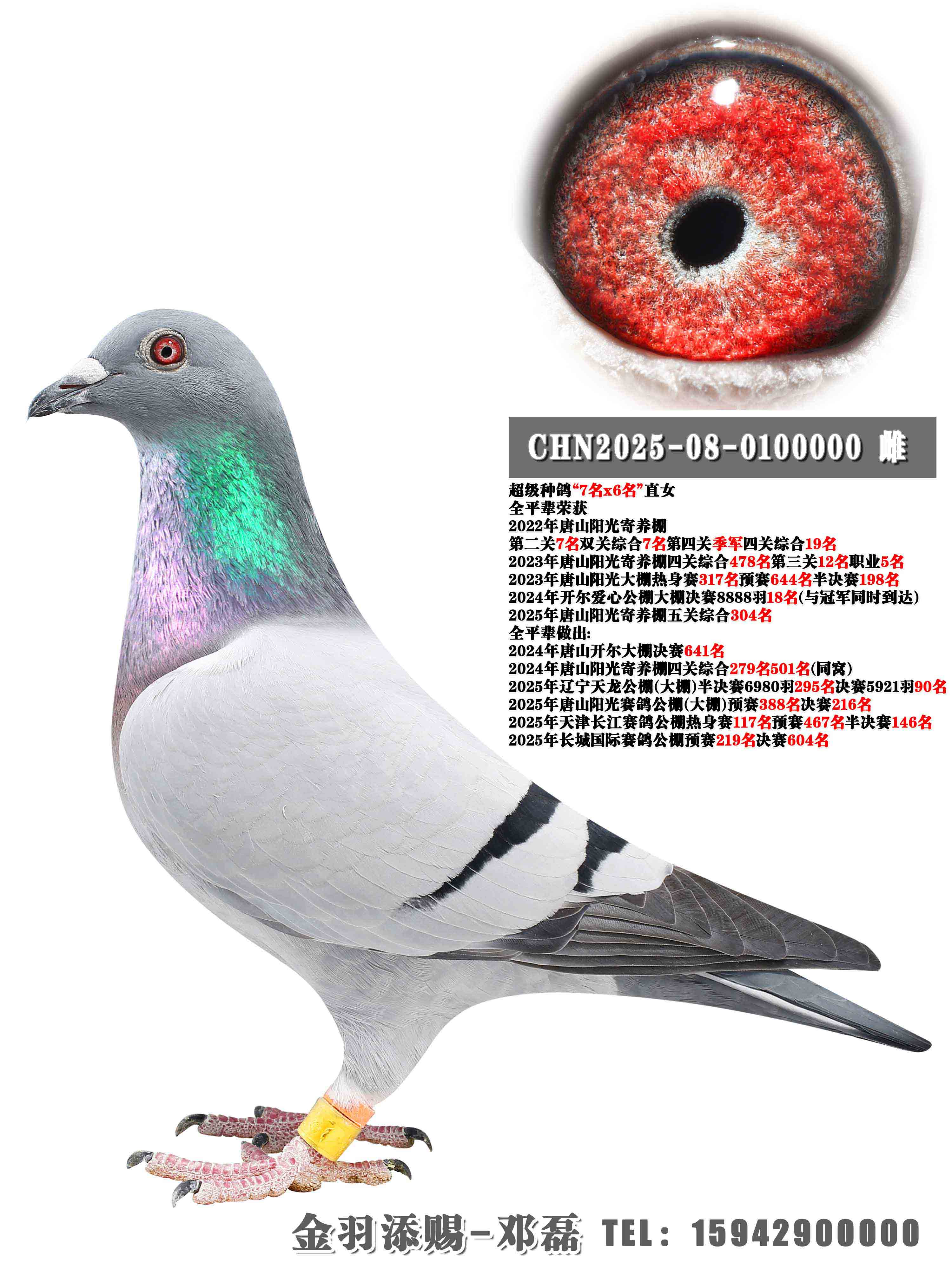 2024�꿪������18��ȫƽ��