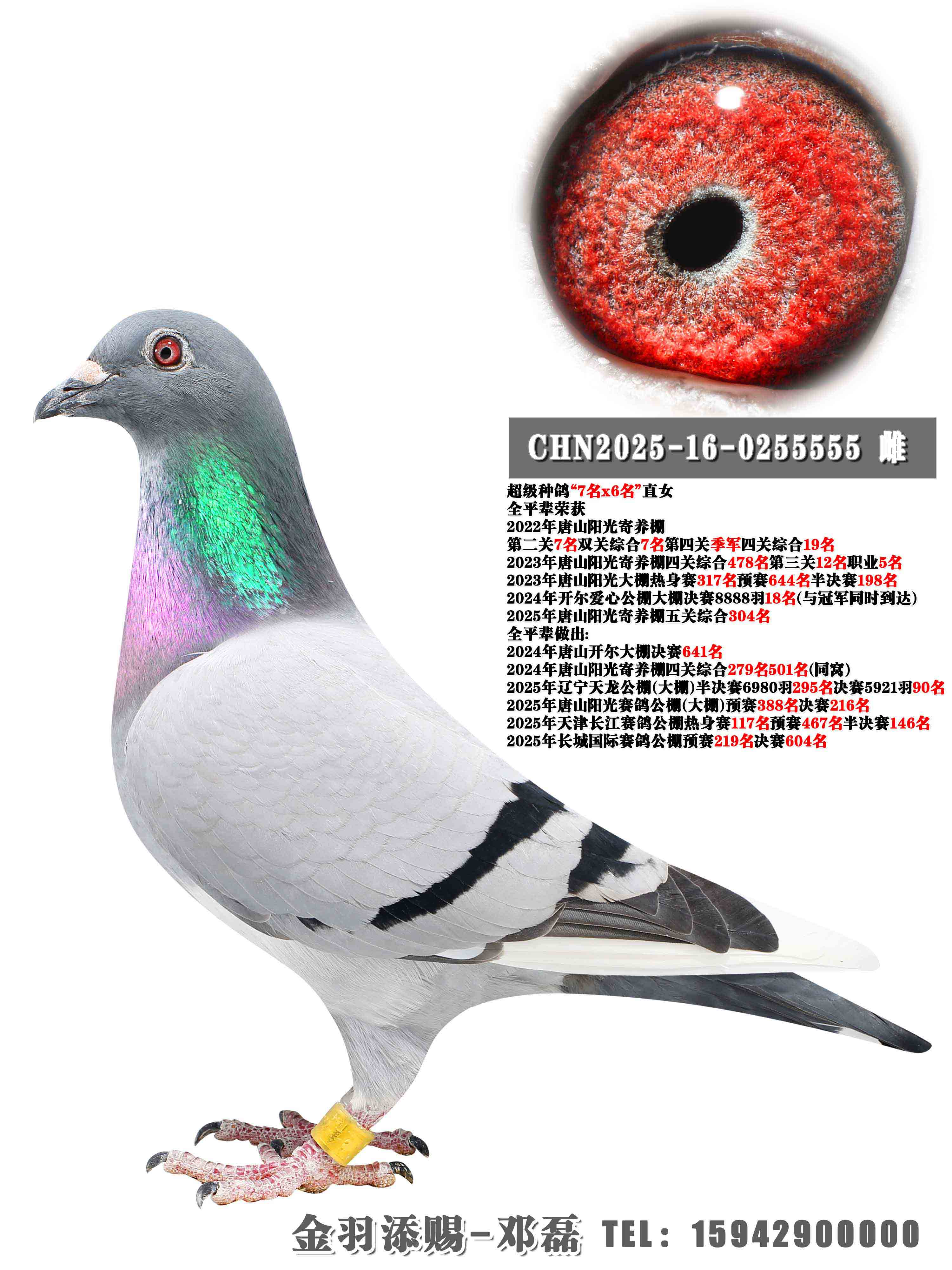 2024�꿪������18��ȫƽ��