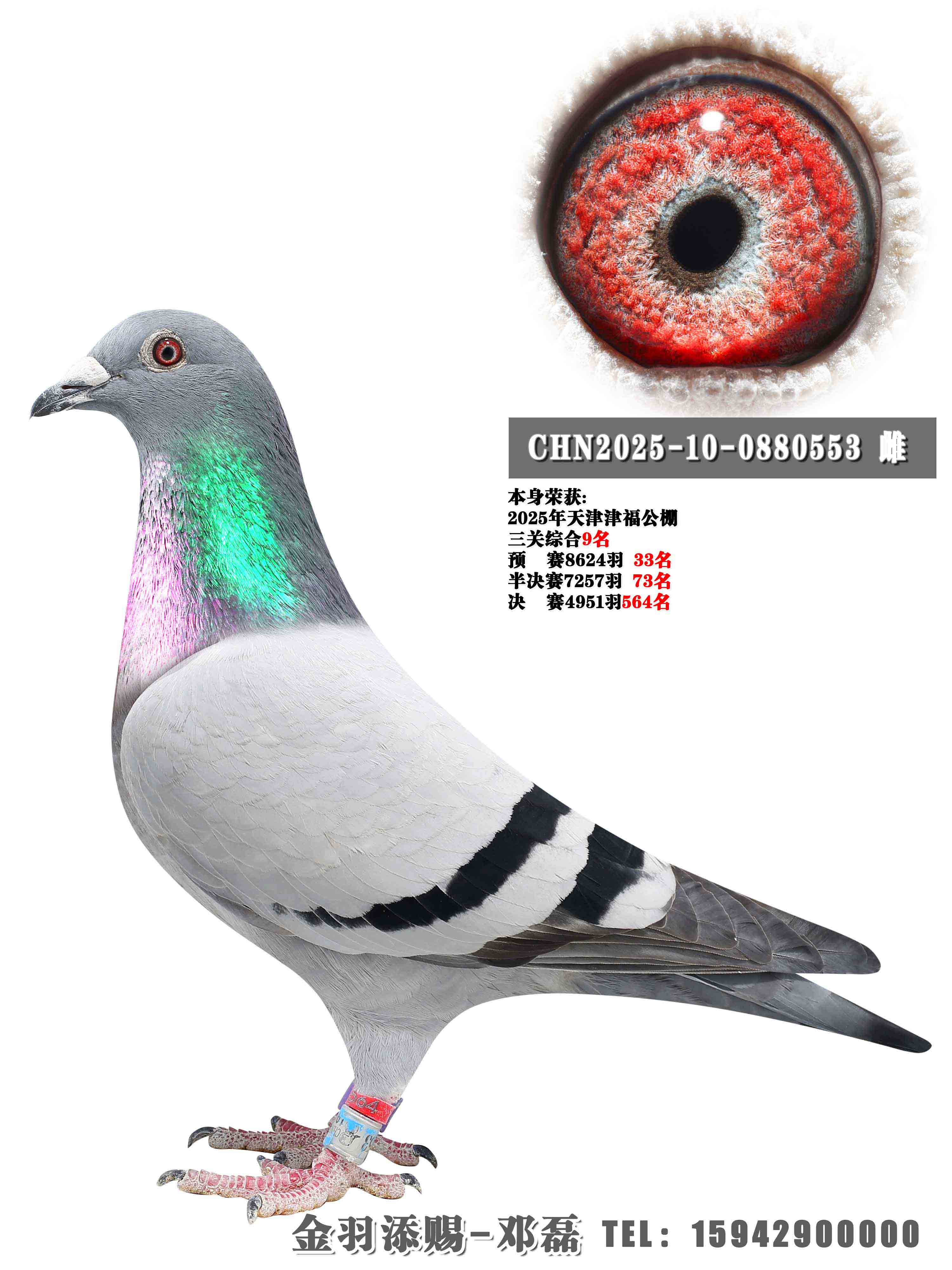 2025��򸣹��������ۺ�9��