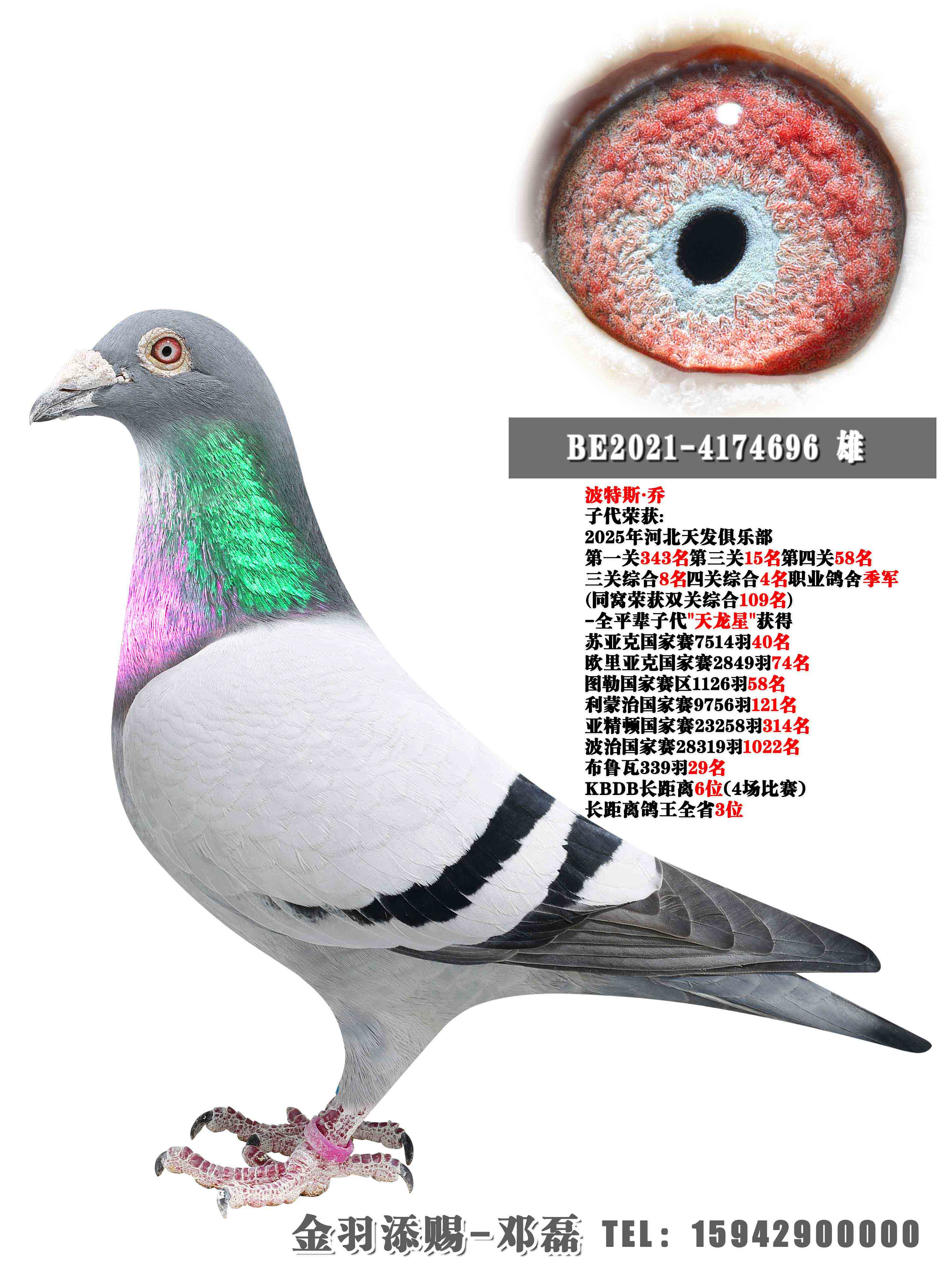 2025���췢�Ĺ��ۺϼ���֮��