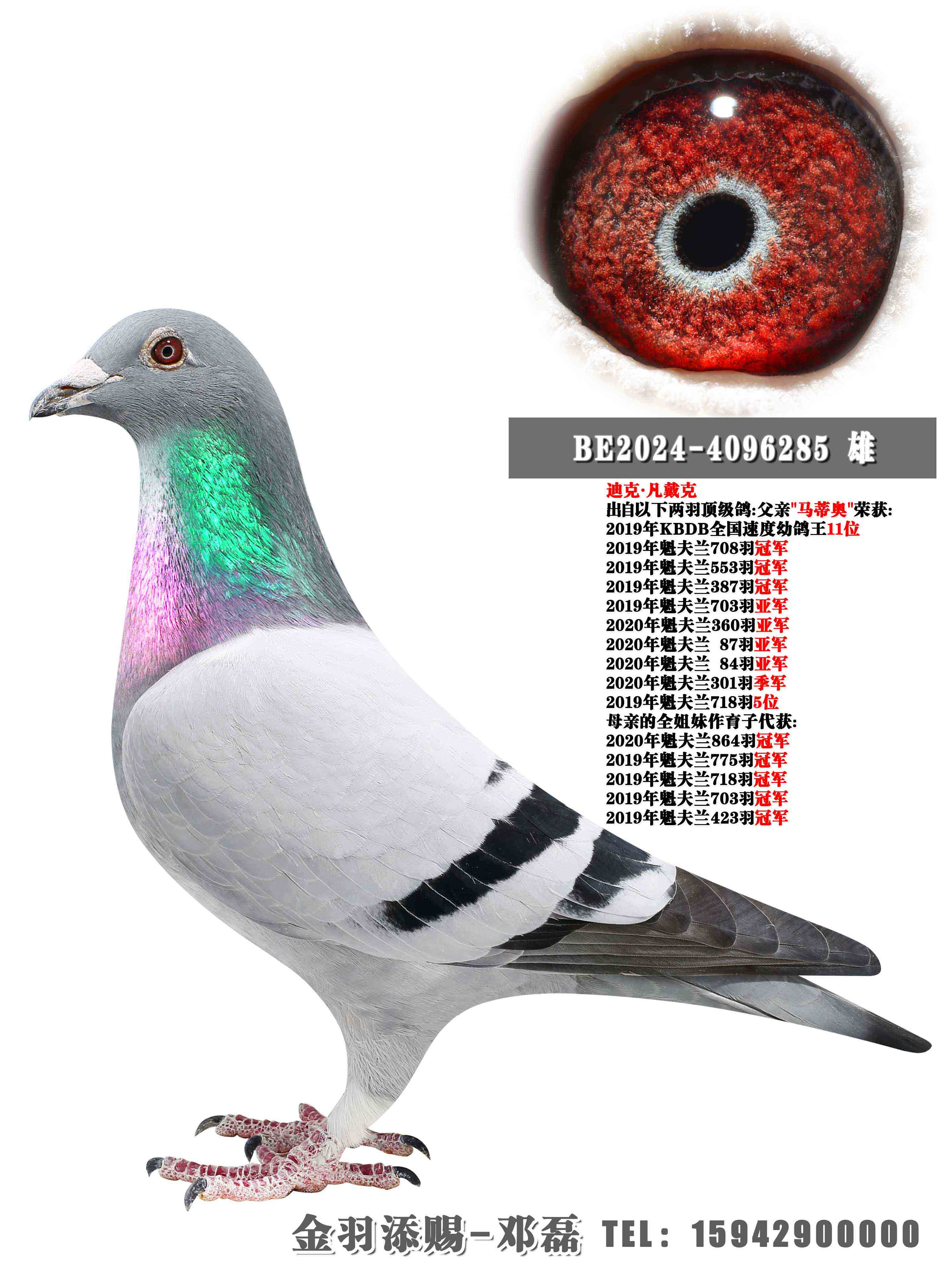 �Ͽˡ�������ԭ��