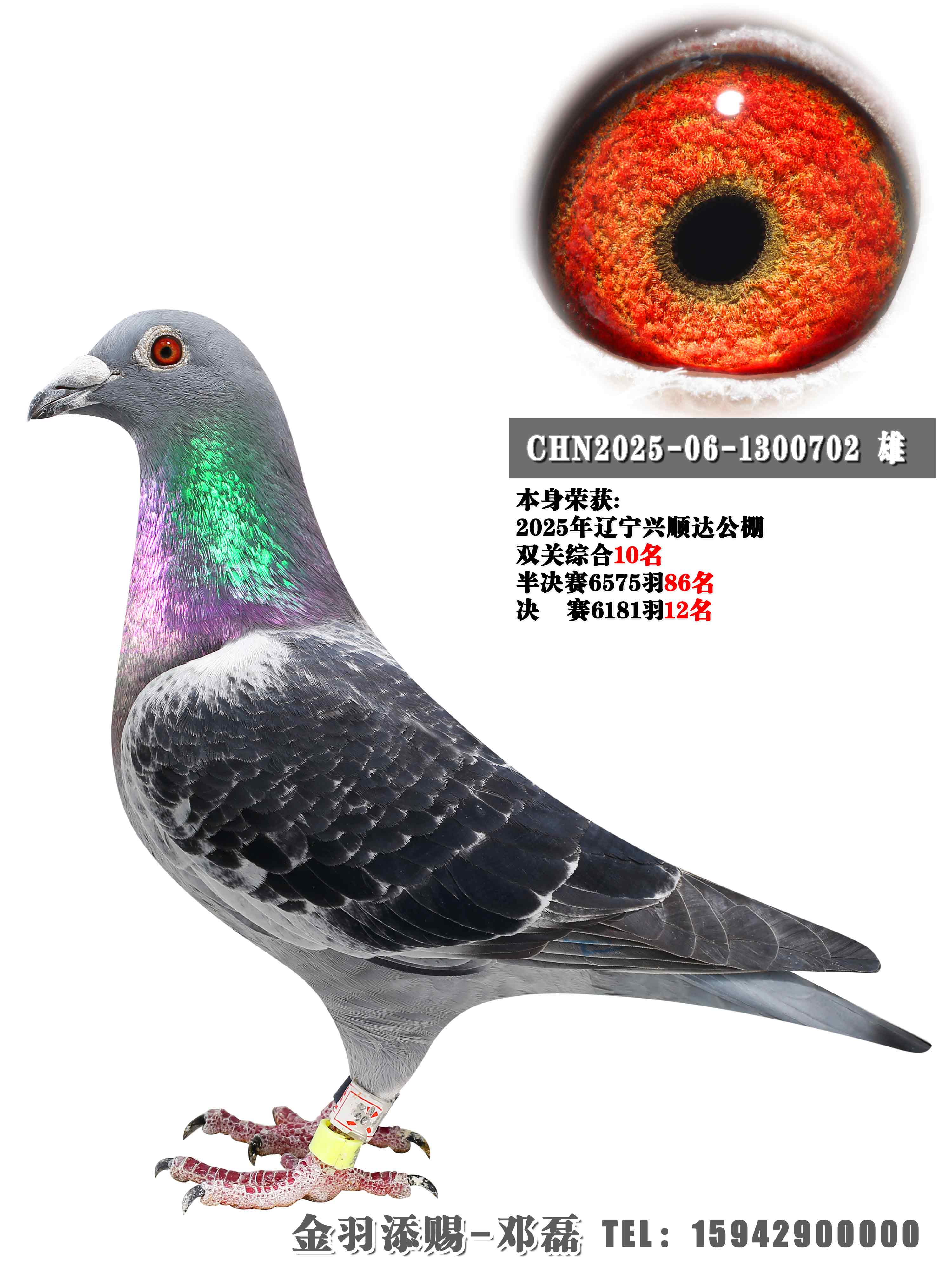 2025����˳��˫�ظ���10��