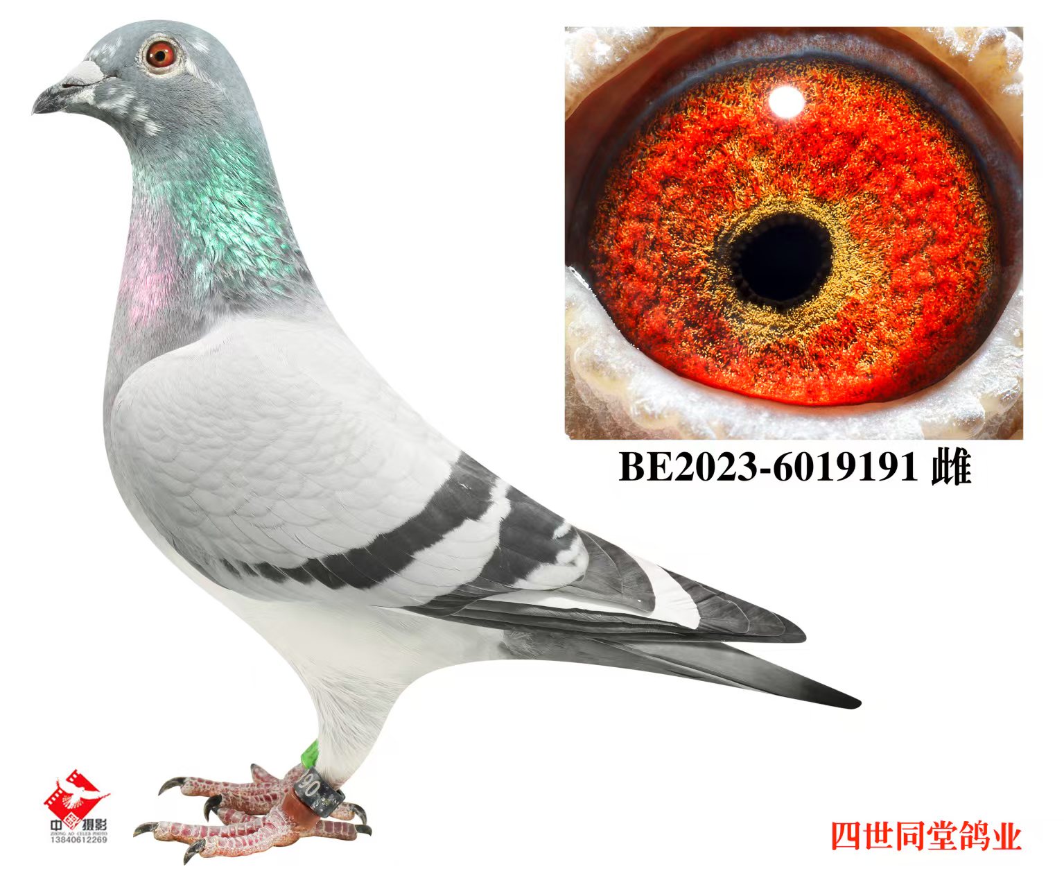 ����޽�̩˹ԭ��191