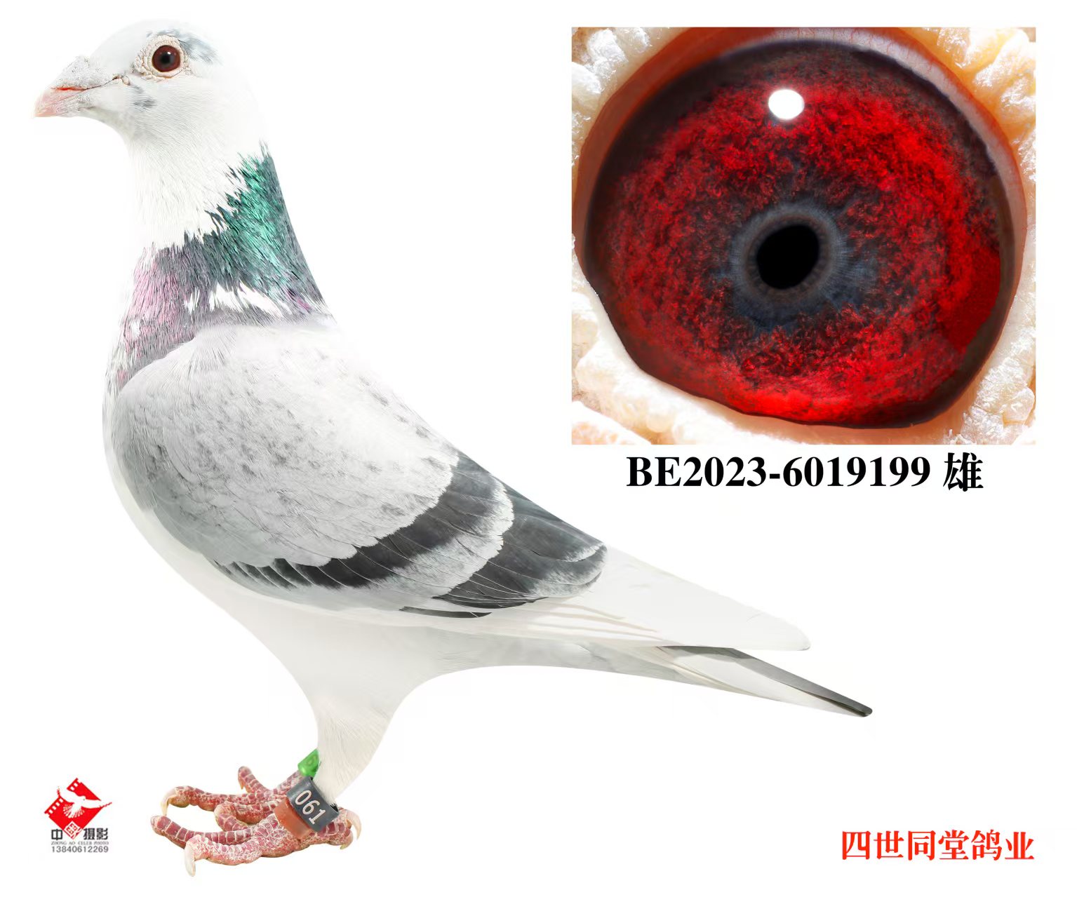 ����޽�̩˹ԭ��199