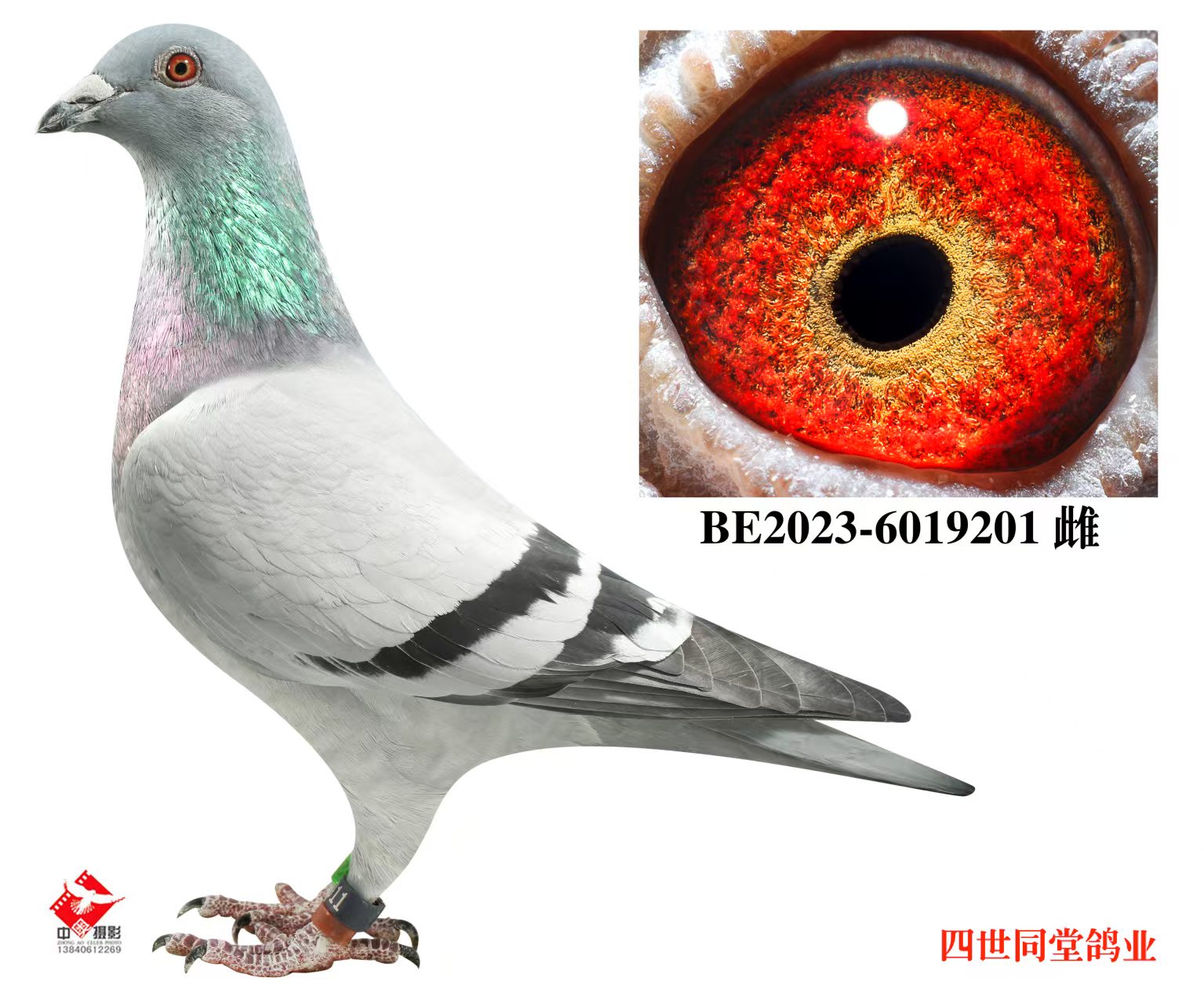 ����޽�̩˹ԭ��201