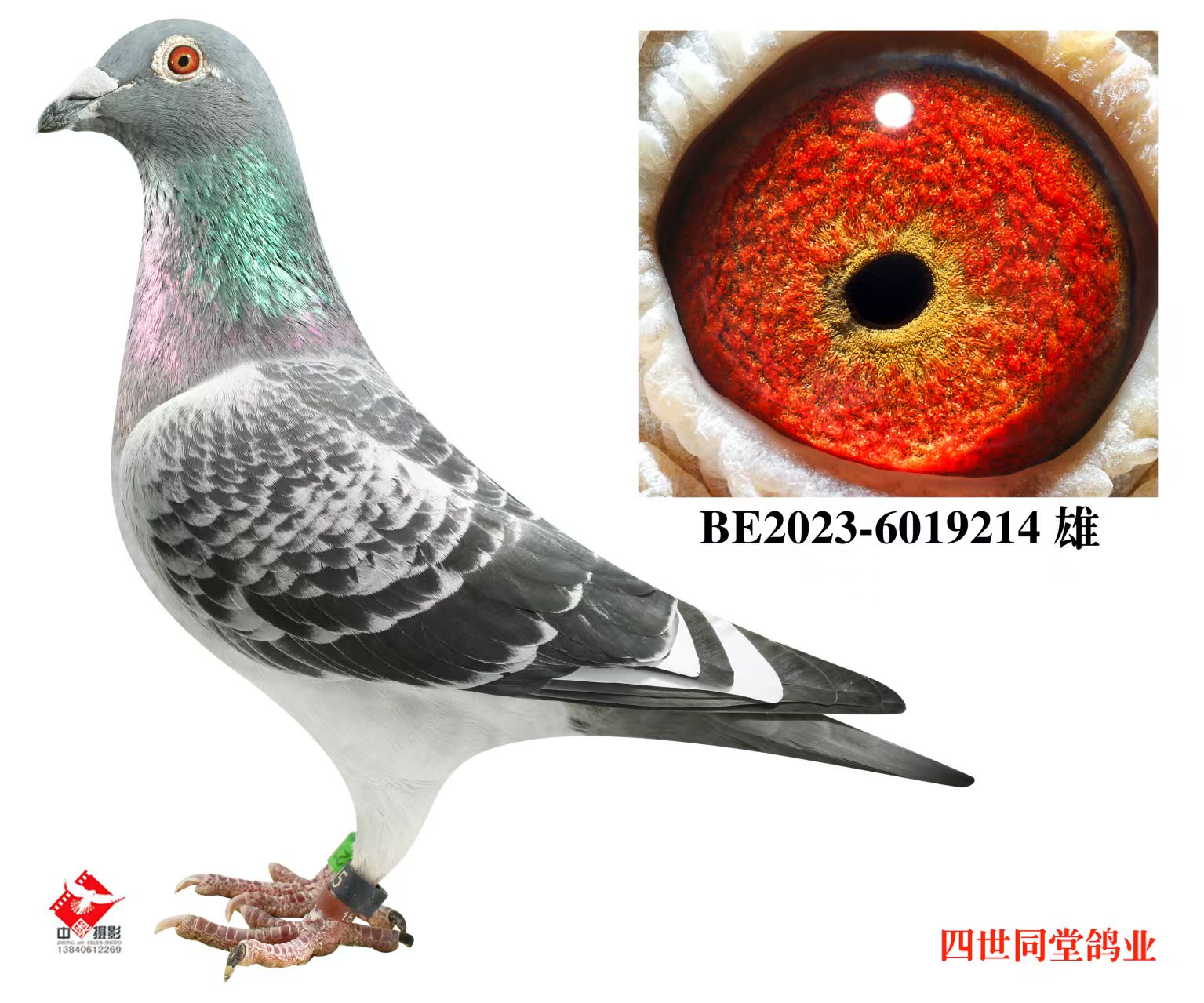 ����޽�̩˹ԭ��214