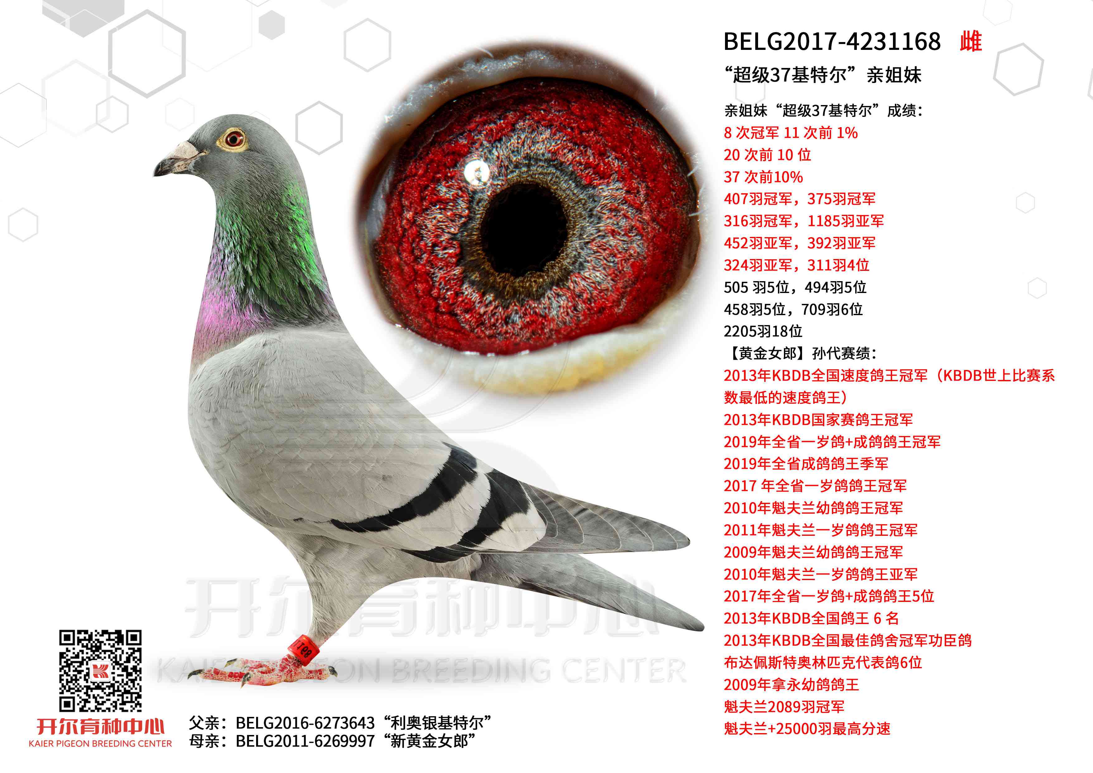 ������37���ض����׽���