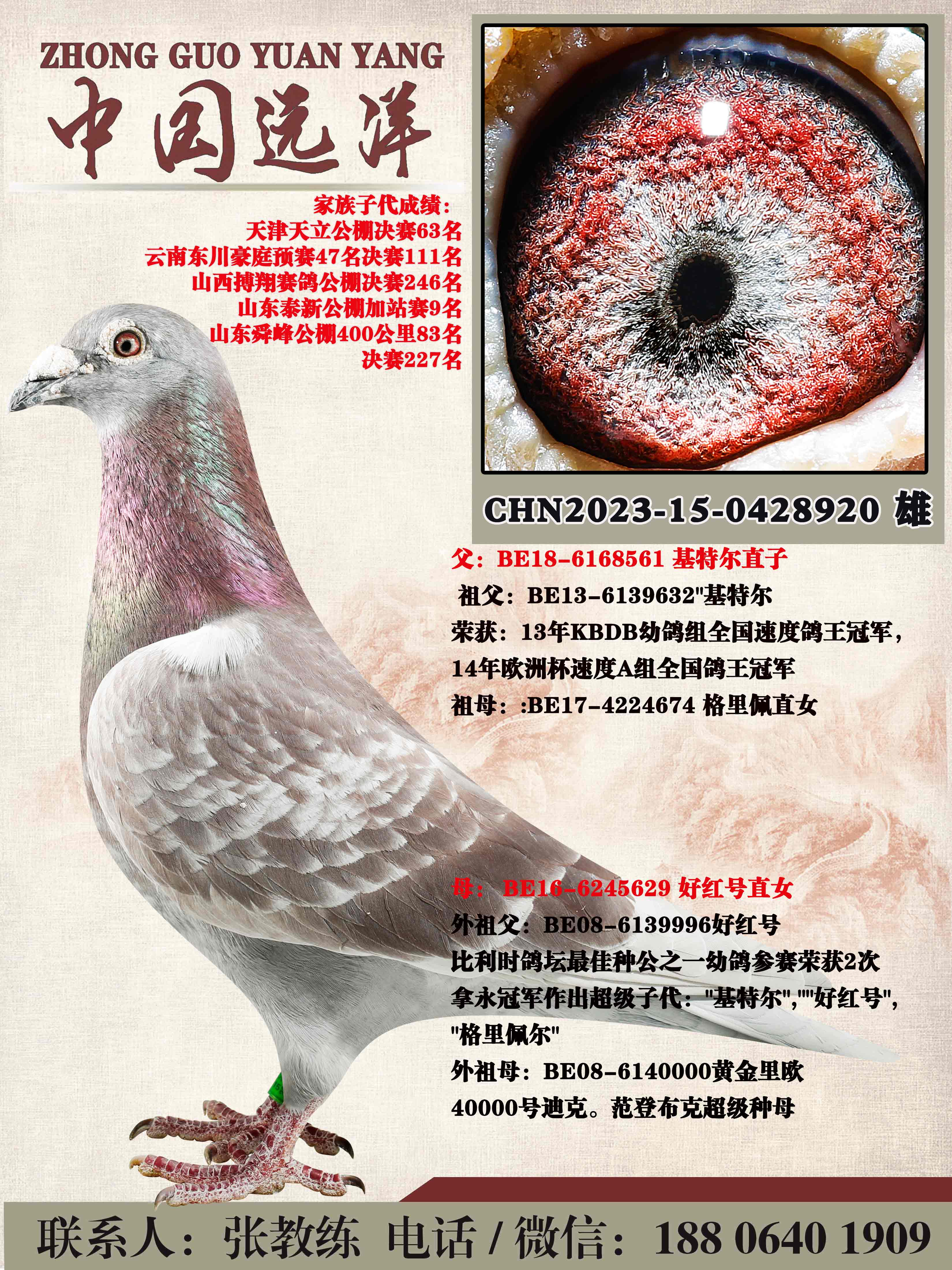 ���ض�ֱ��x�ú��ֱŮ