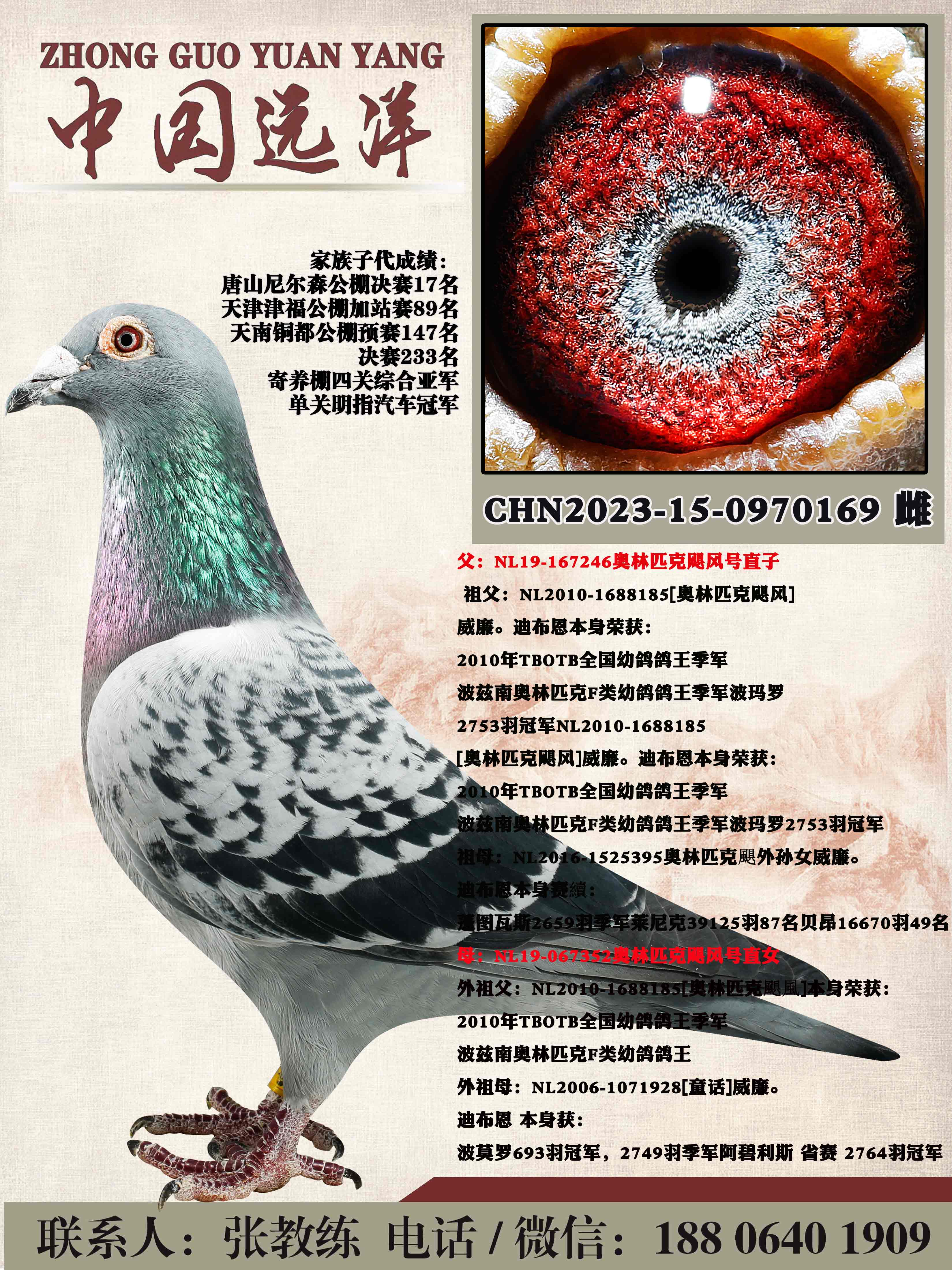 ����ƥ��쫷��ֱ��x쫷��ֱŮ