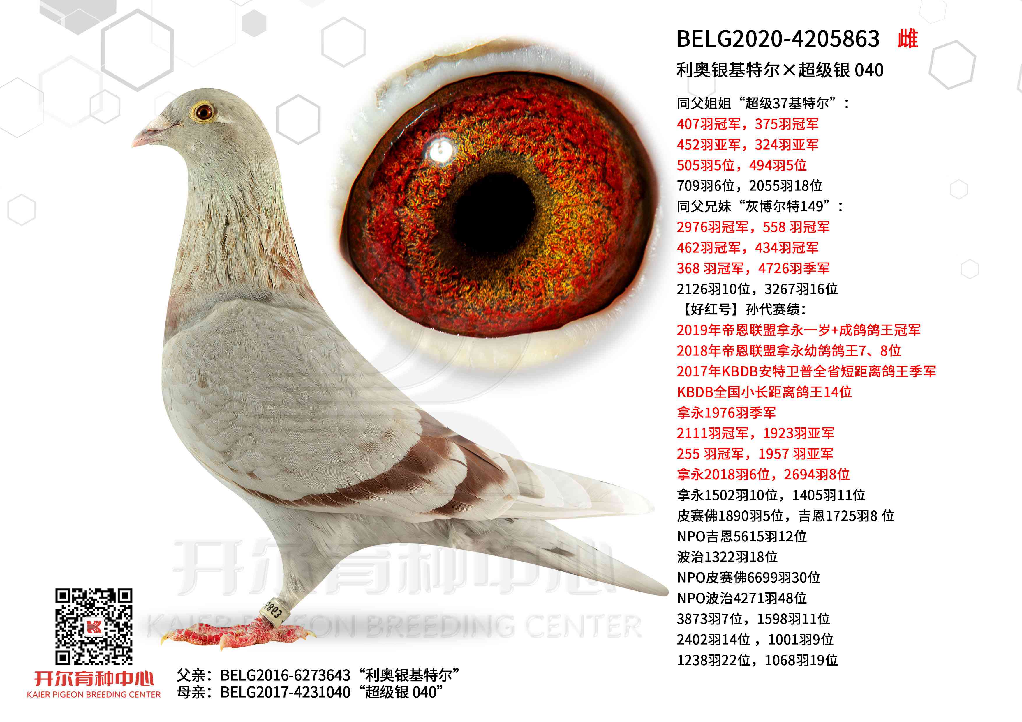 ���������ض��������� 040