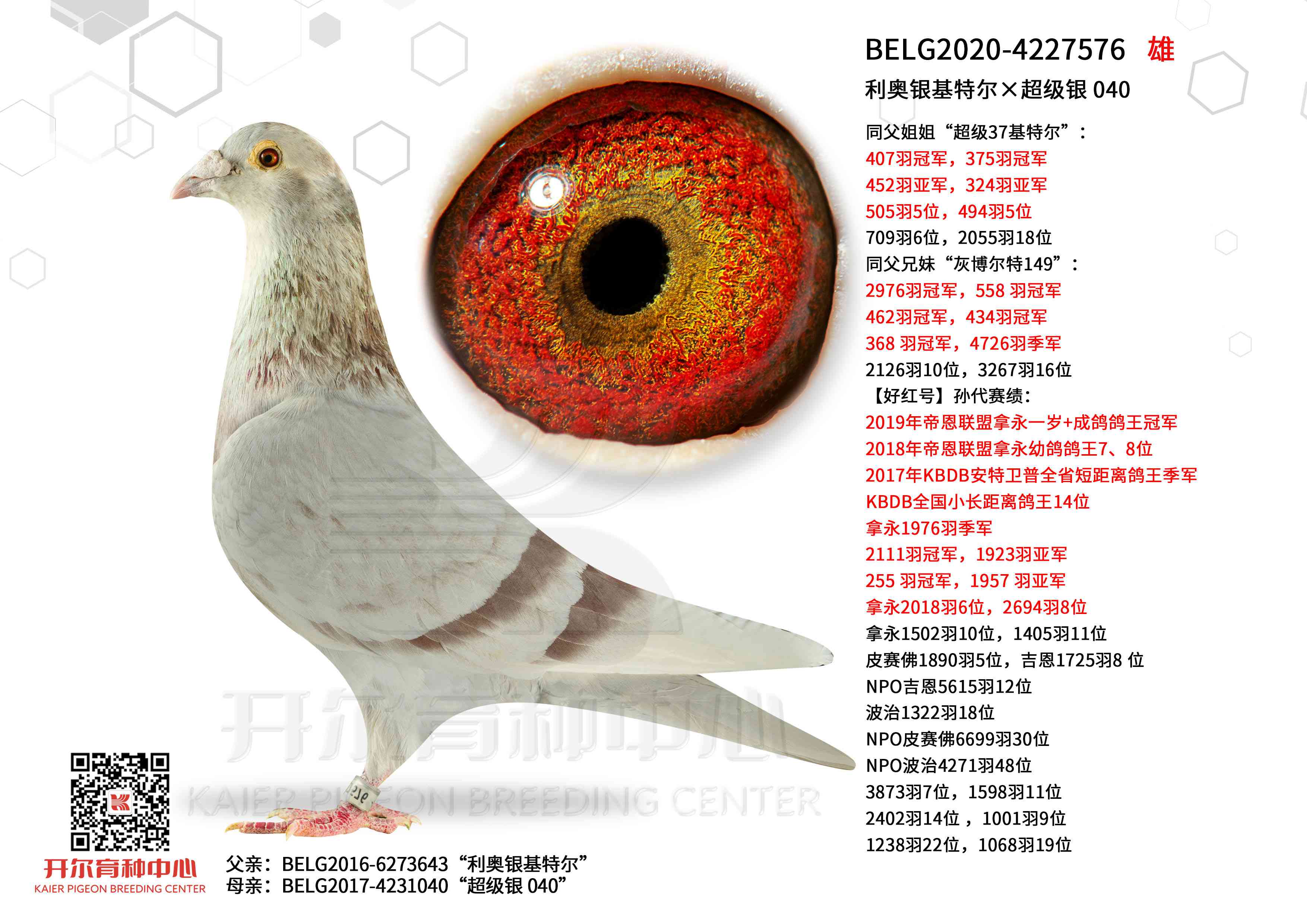 ���������ض��������� 040