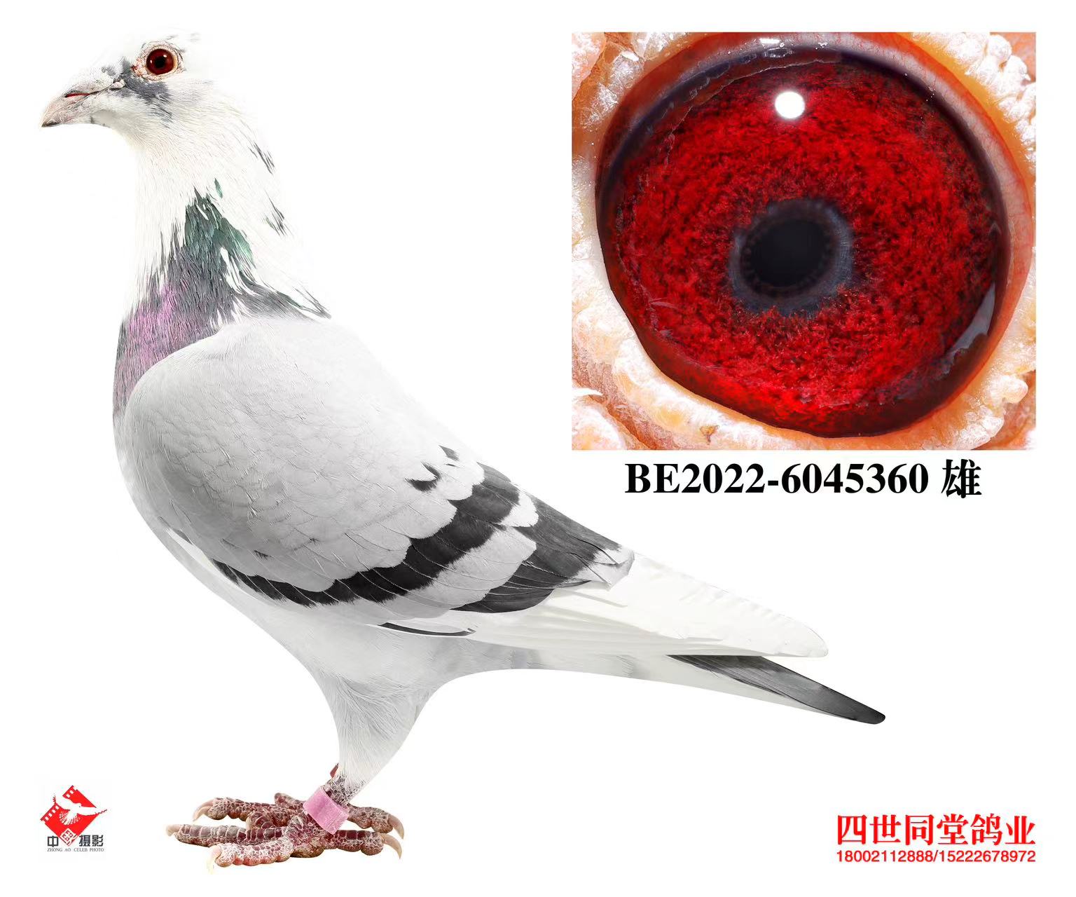 ³�Ϸ���˹ԭ��360