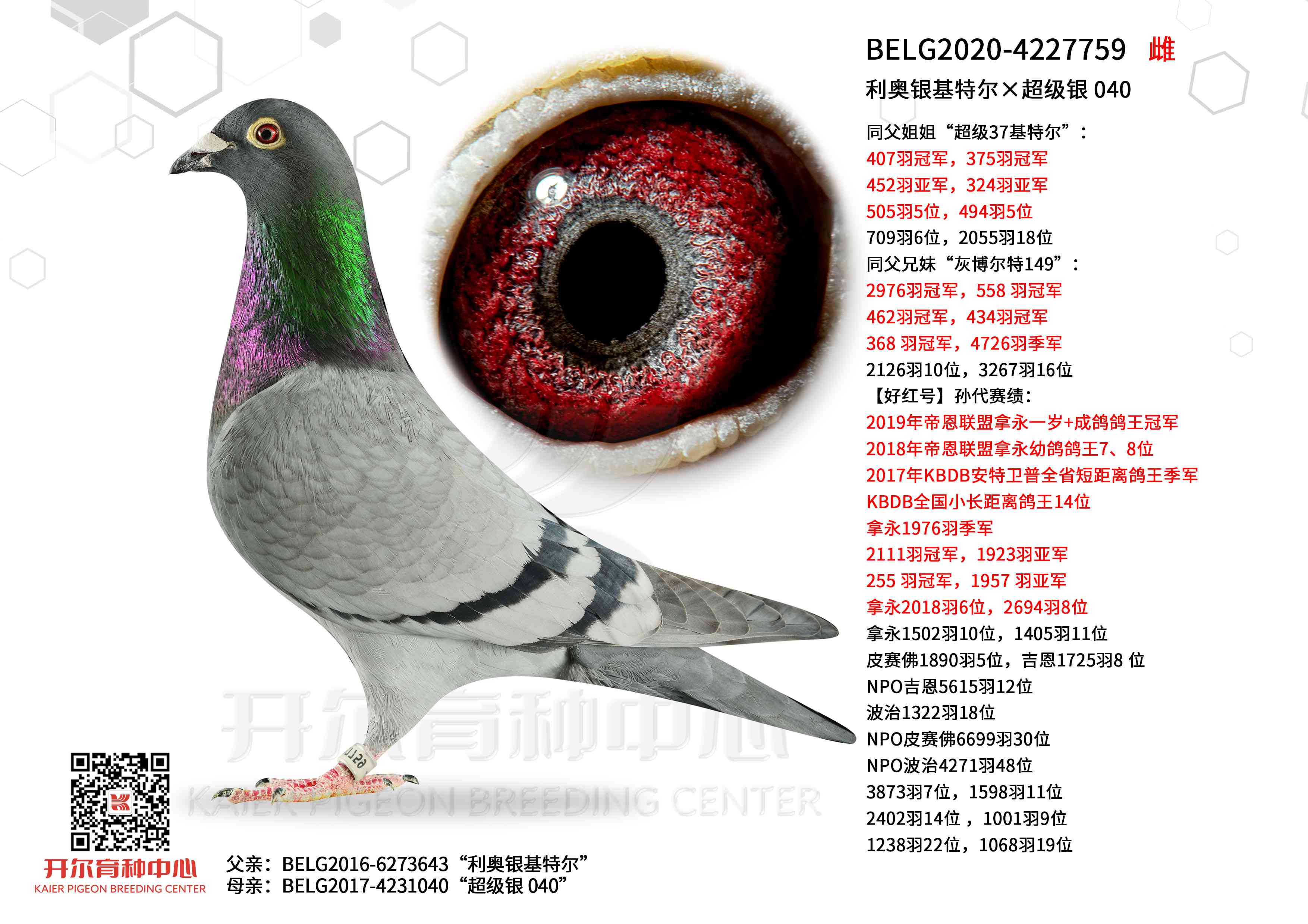 ���������ض��������� 040