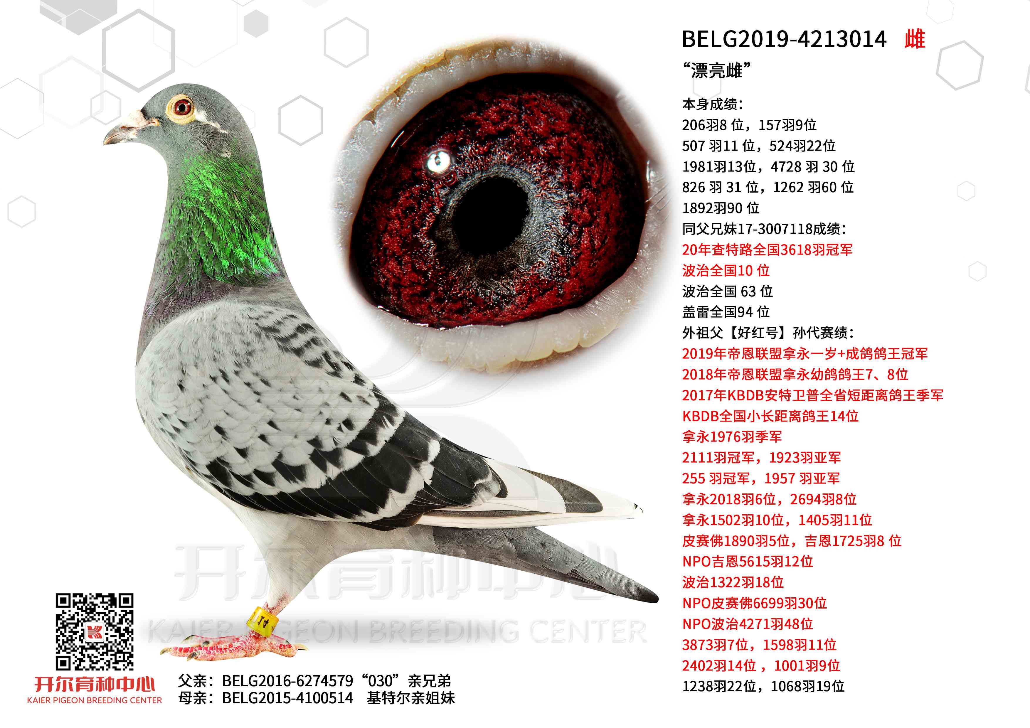 ��Ư���ơ����ú������Ů