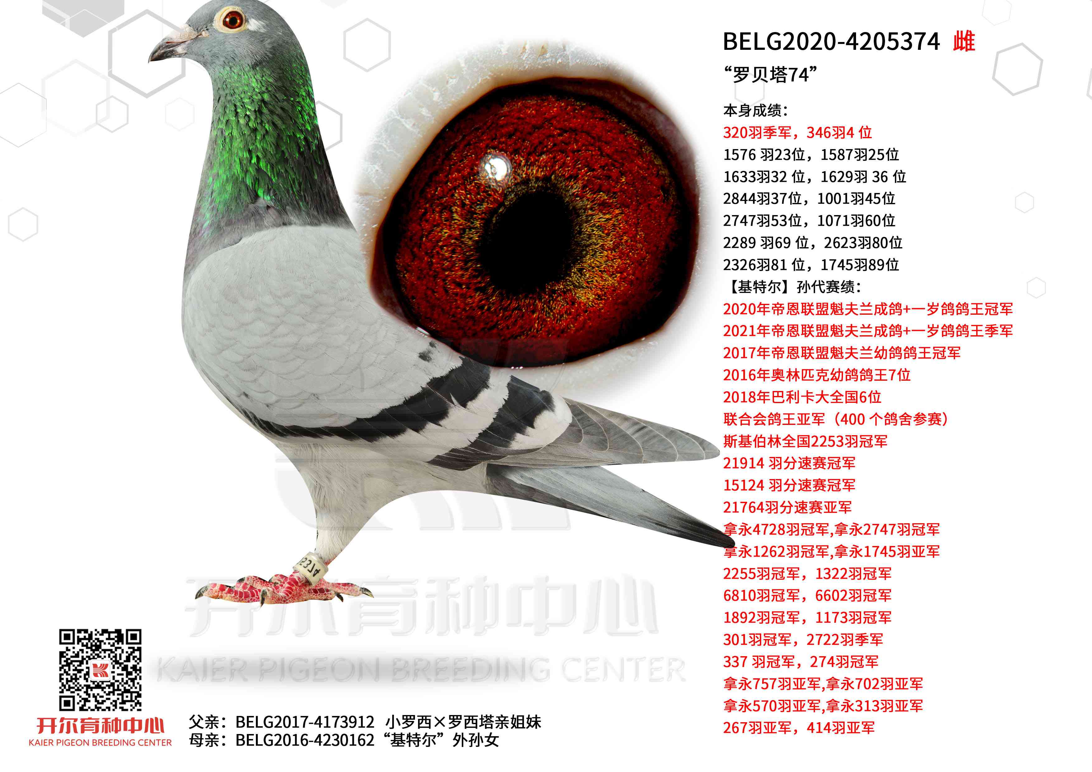 �_ؐ��74�����Ի��ؠ���OŮ