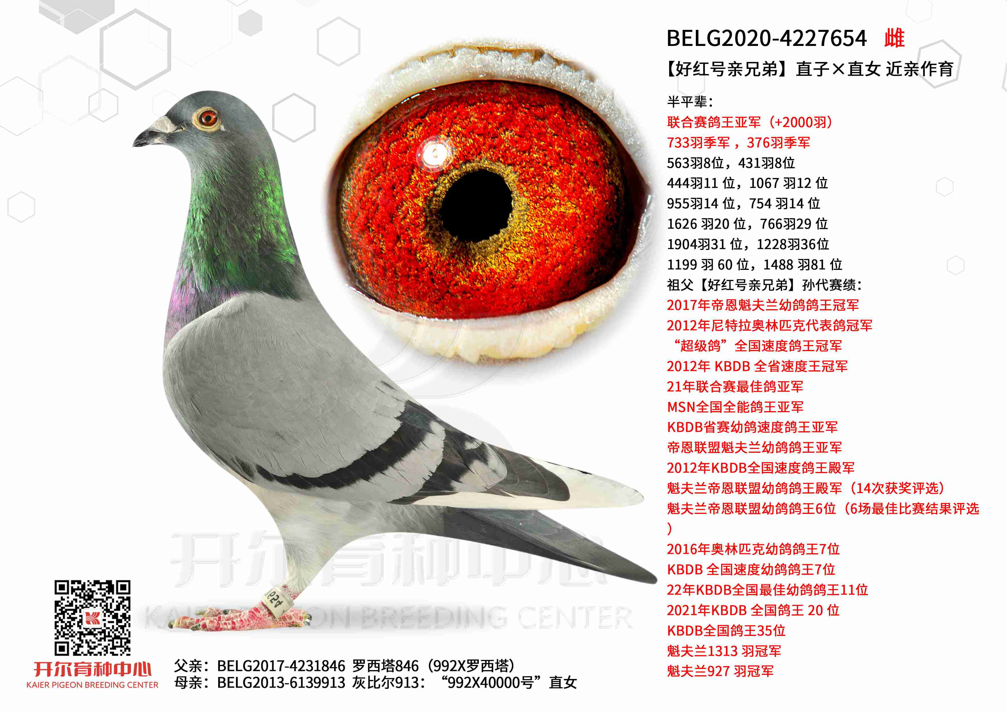 ���ú�����ֵܡ�ֱ�ӡ�ֱŮ ��������