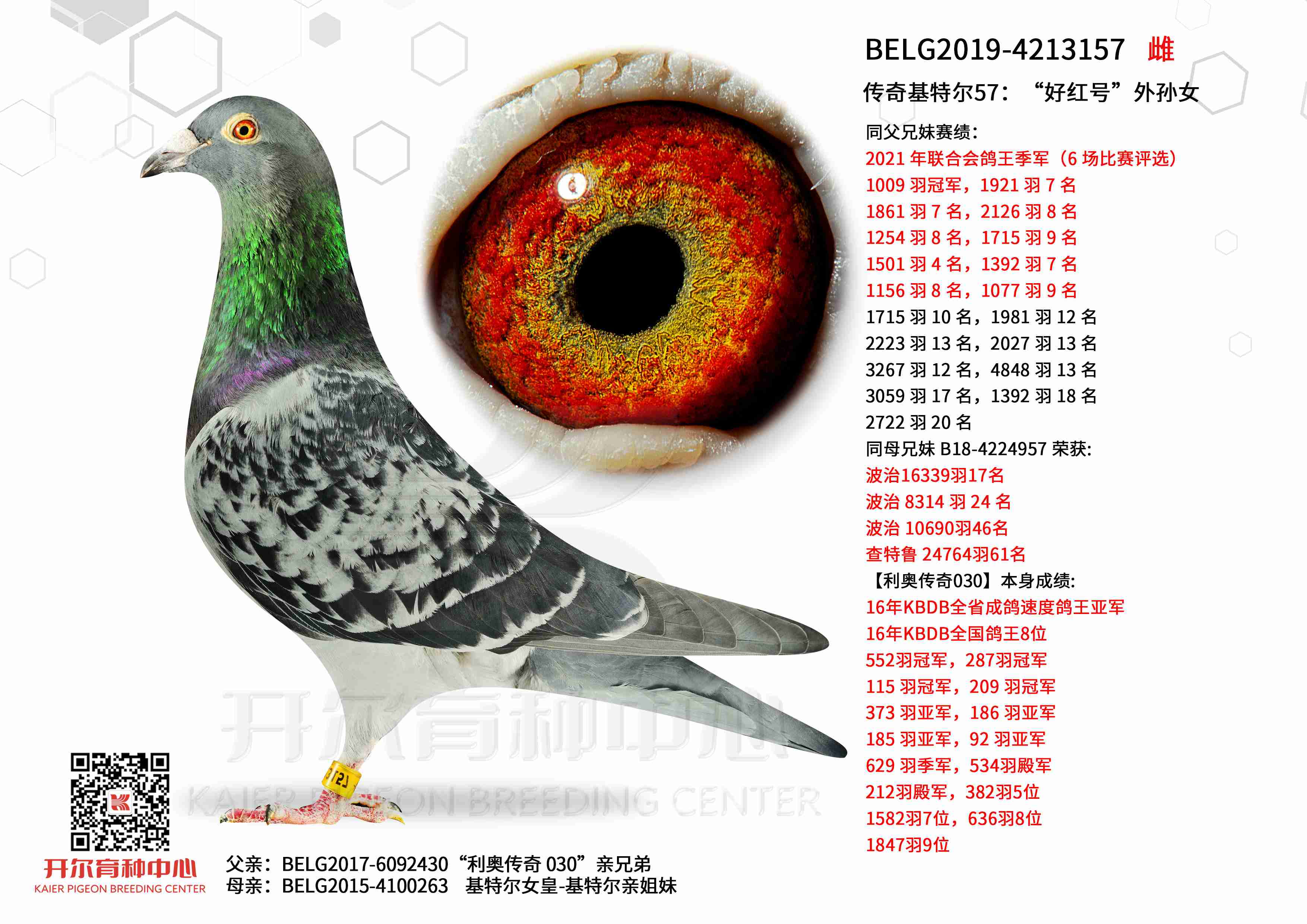 ������ض�57�����ú�š�����Ů