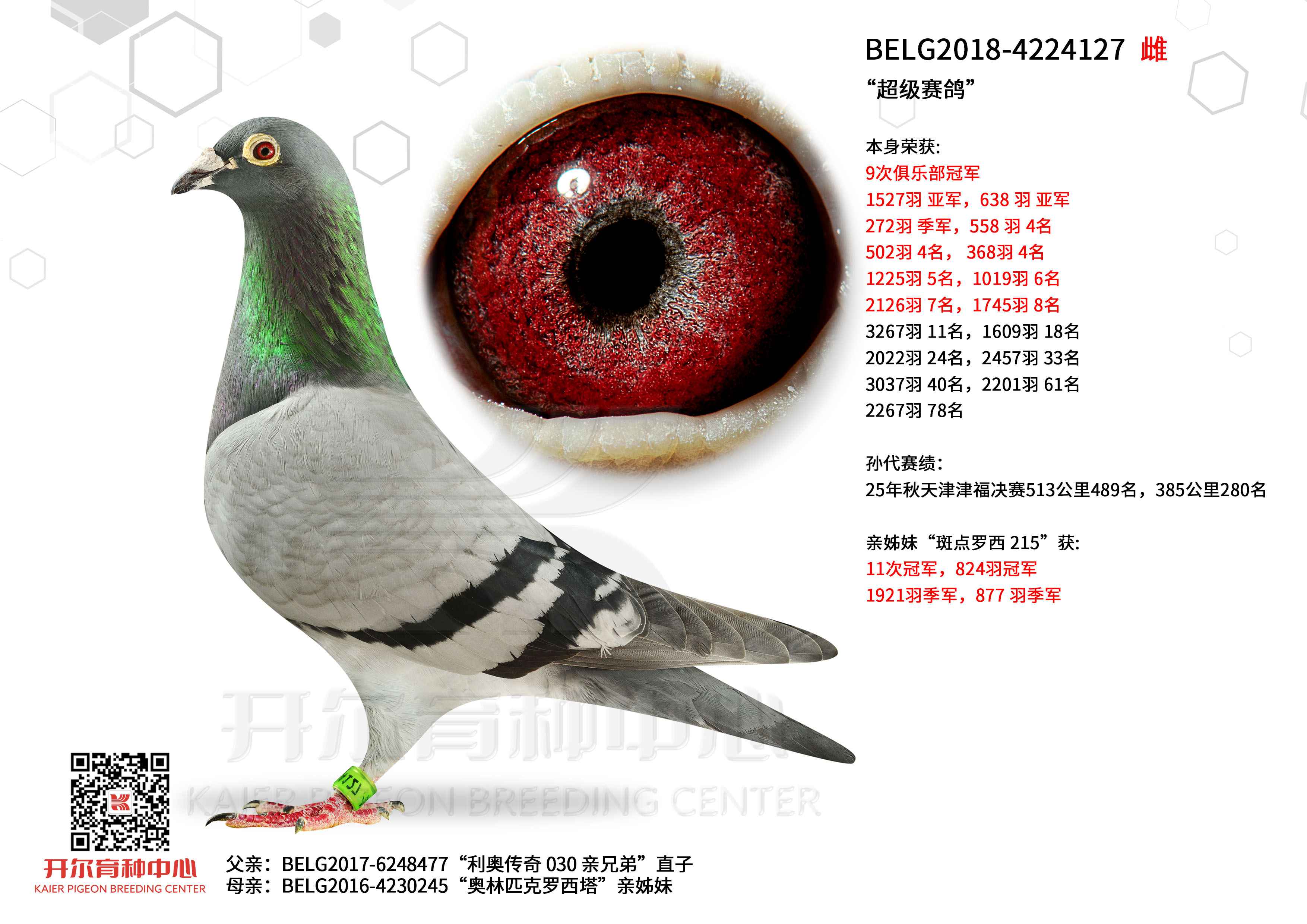 ���������롱