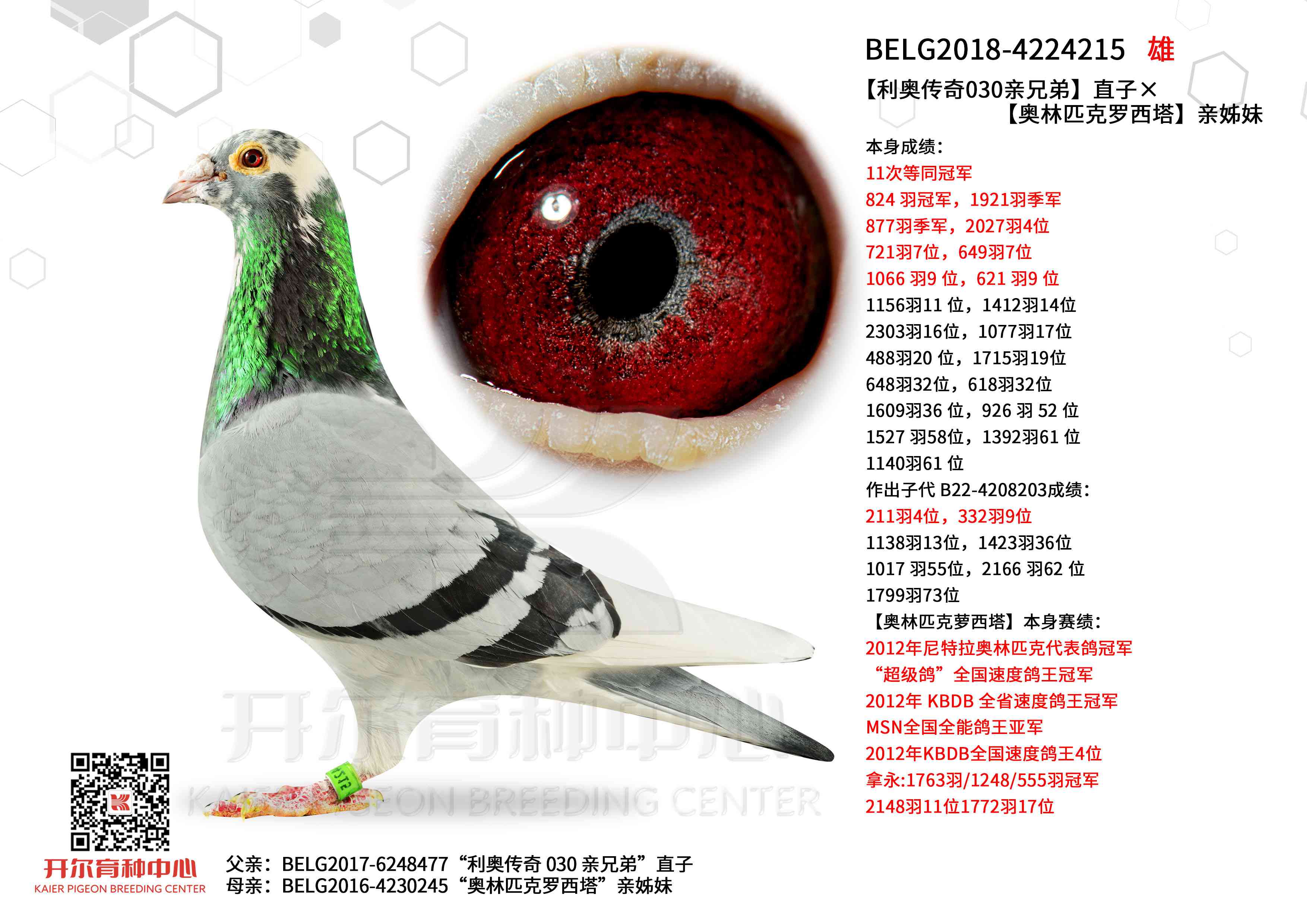 ������ƥ������������á�ֱ��