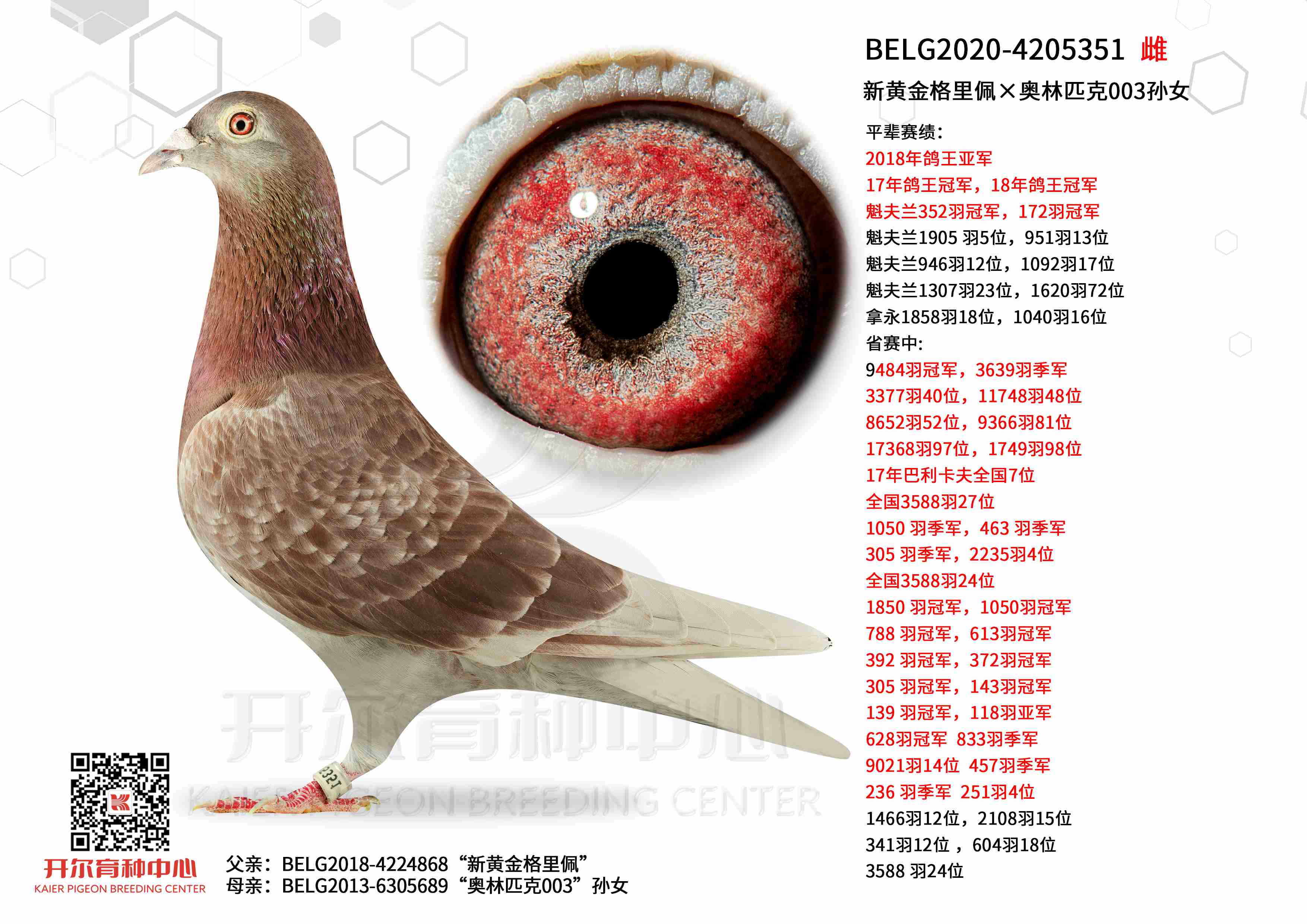 �»ƽ�����������ƥ��003��Ů